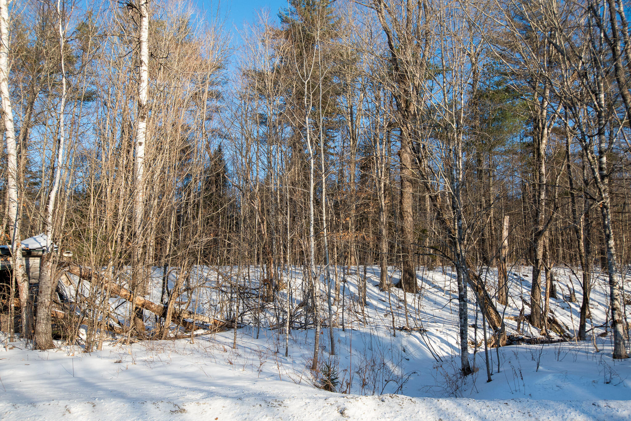 property viewer photo 20