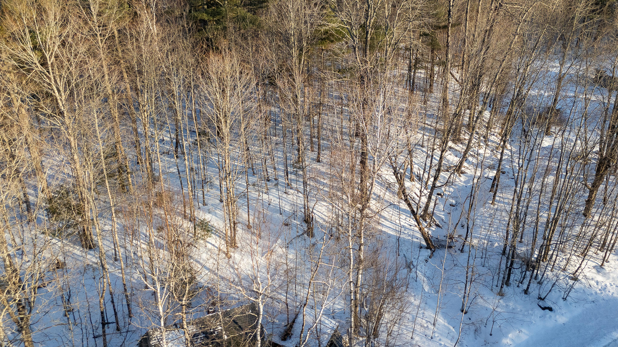 property viewer photo 3