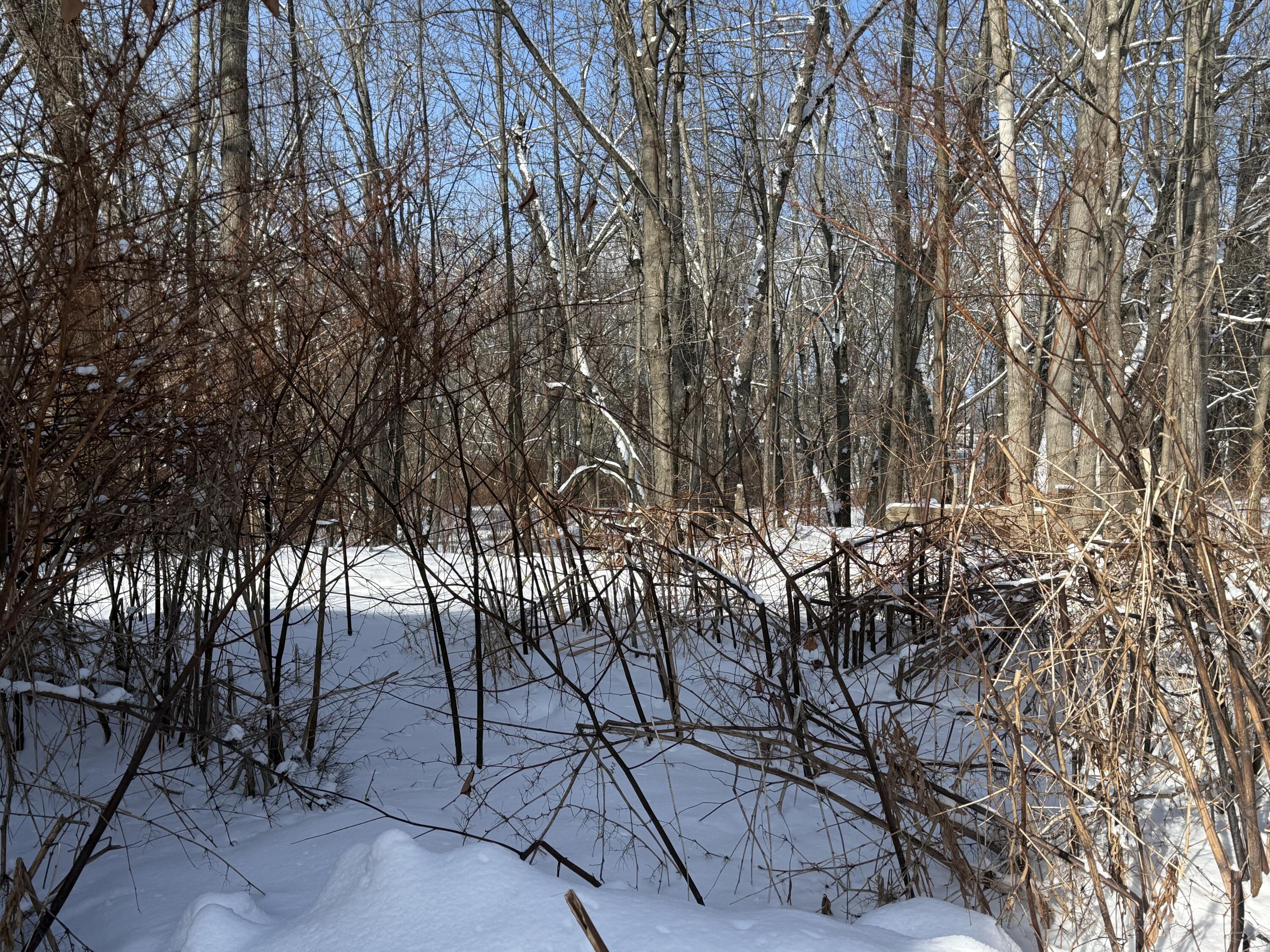 property viewer photo 26
