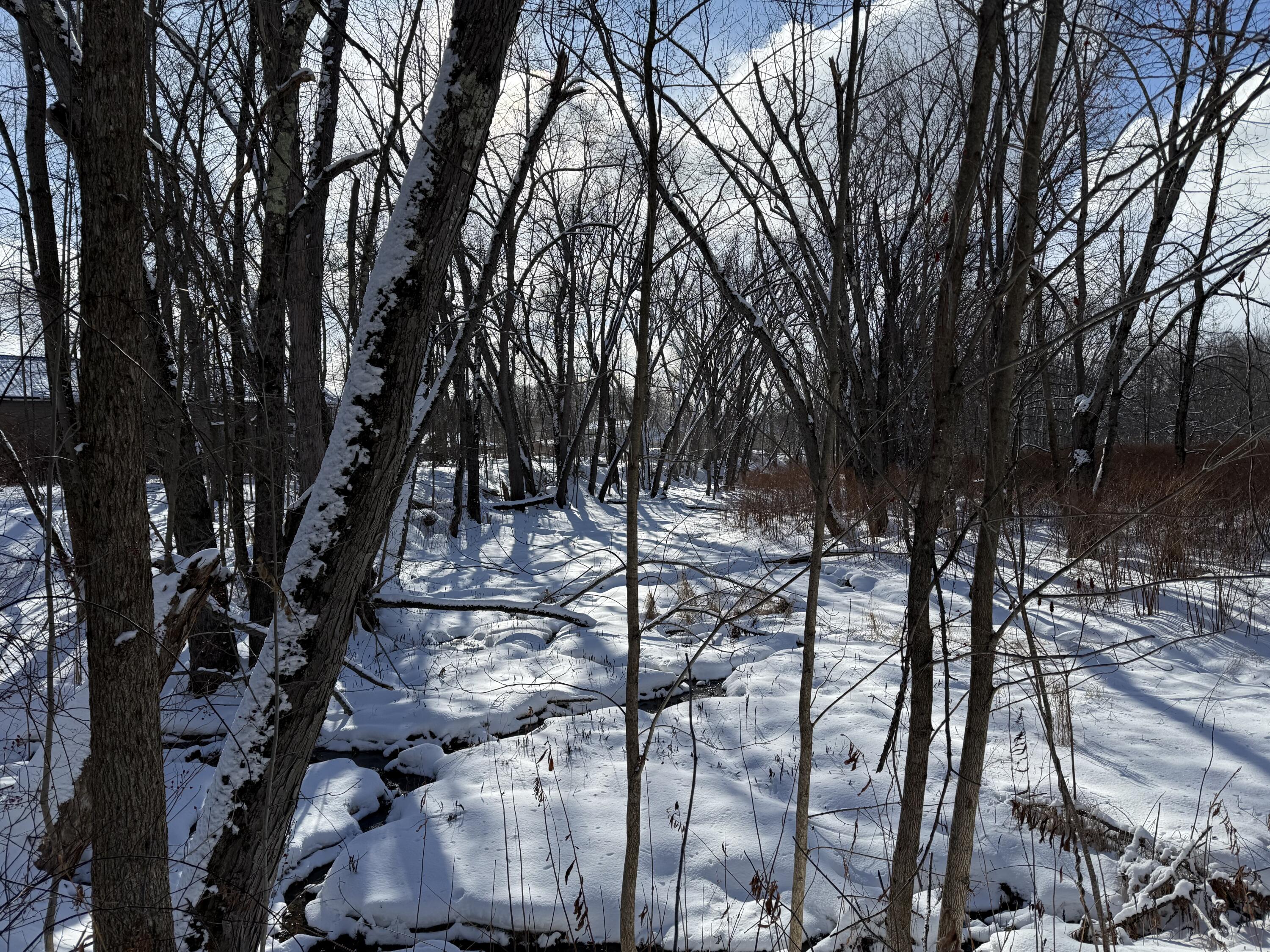 property viewer photo 27