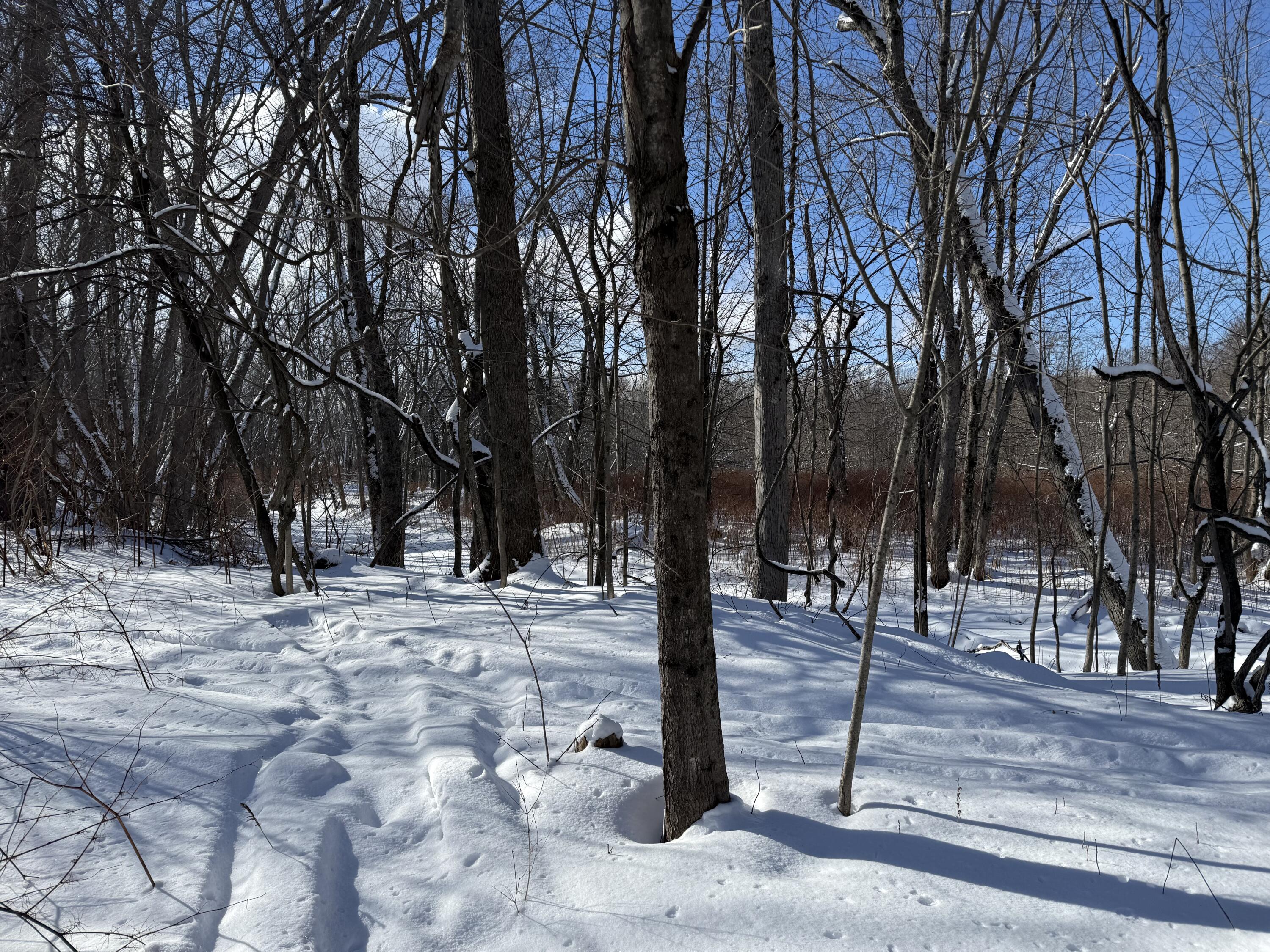 property viewer photo 29