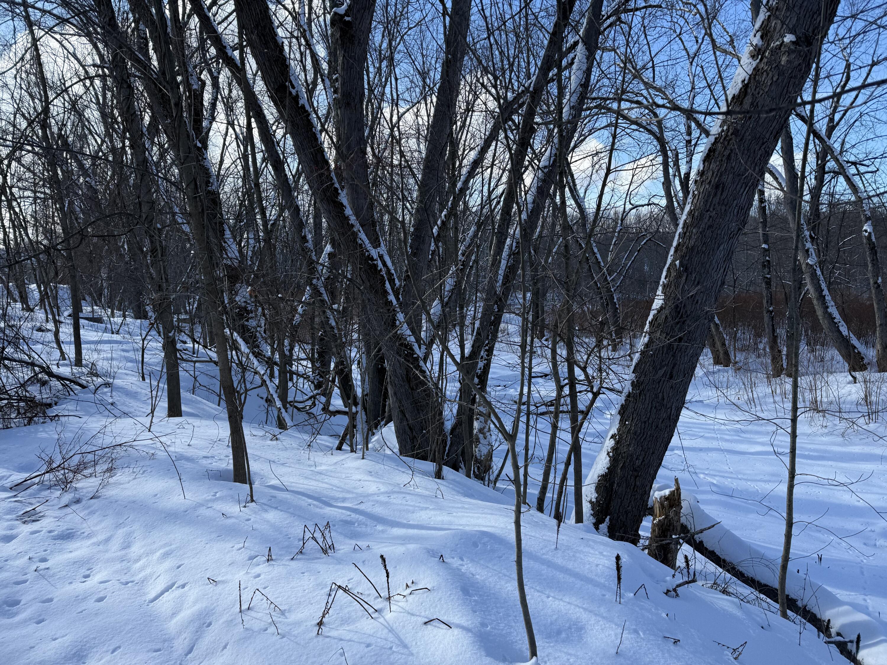 property viewer photo 30
