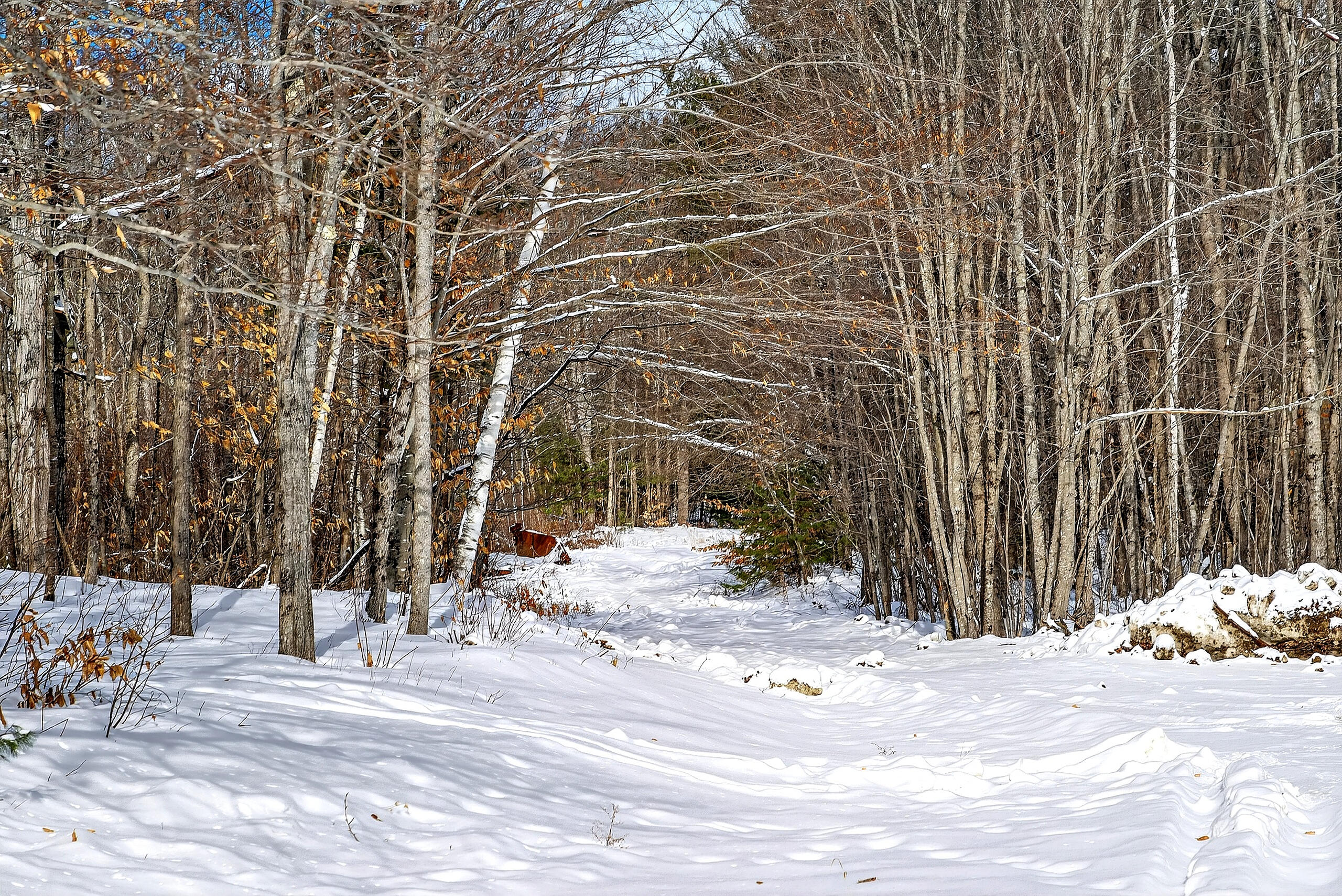 property viewer photo 16