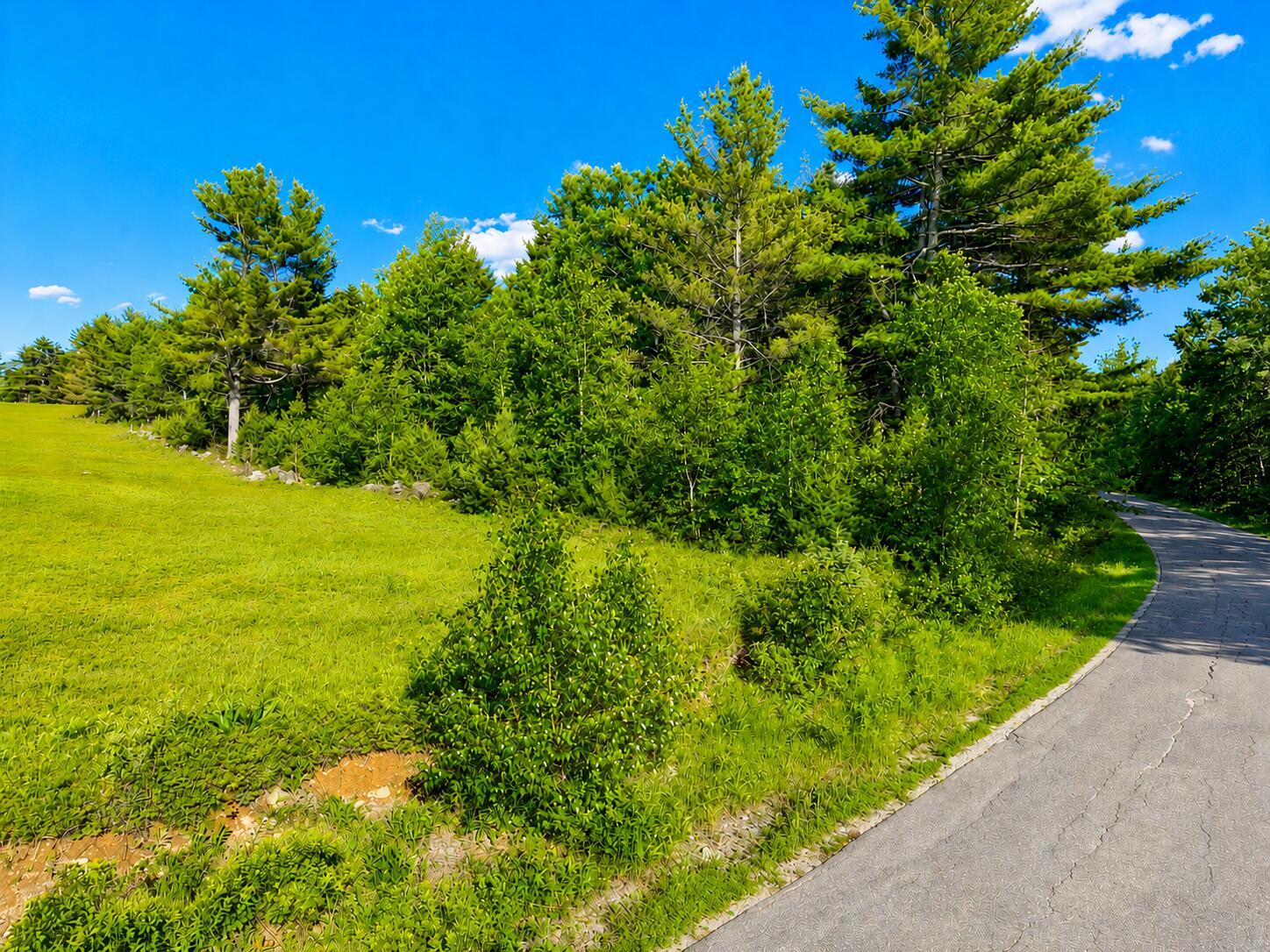 main property photo 10