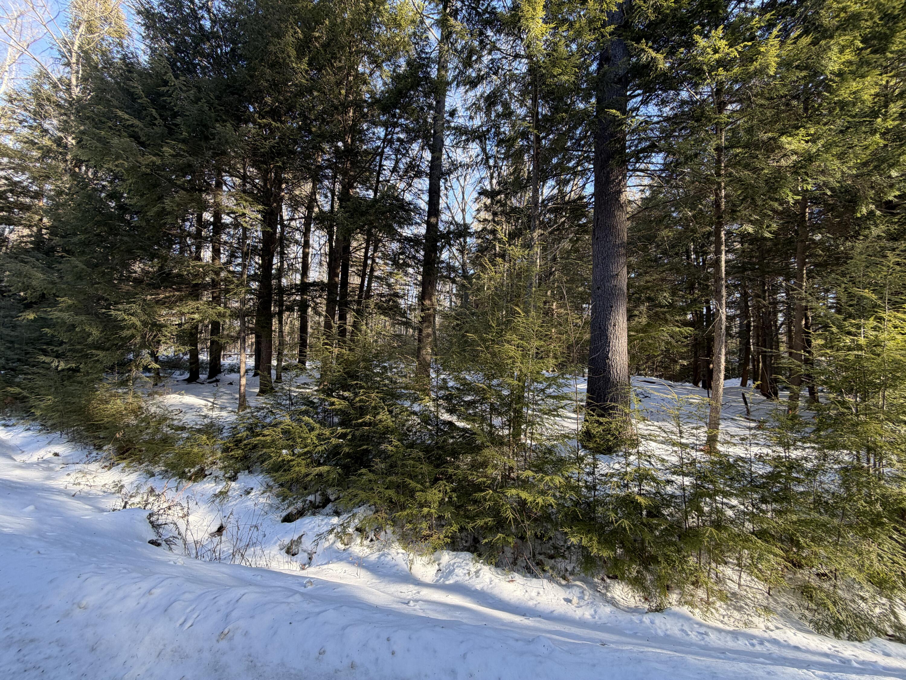 main property photo 10
