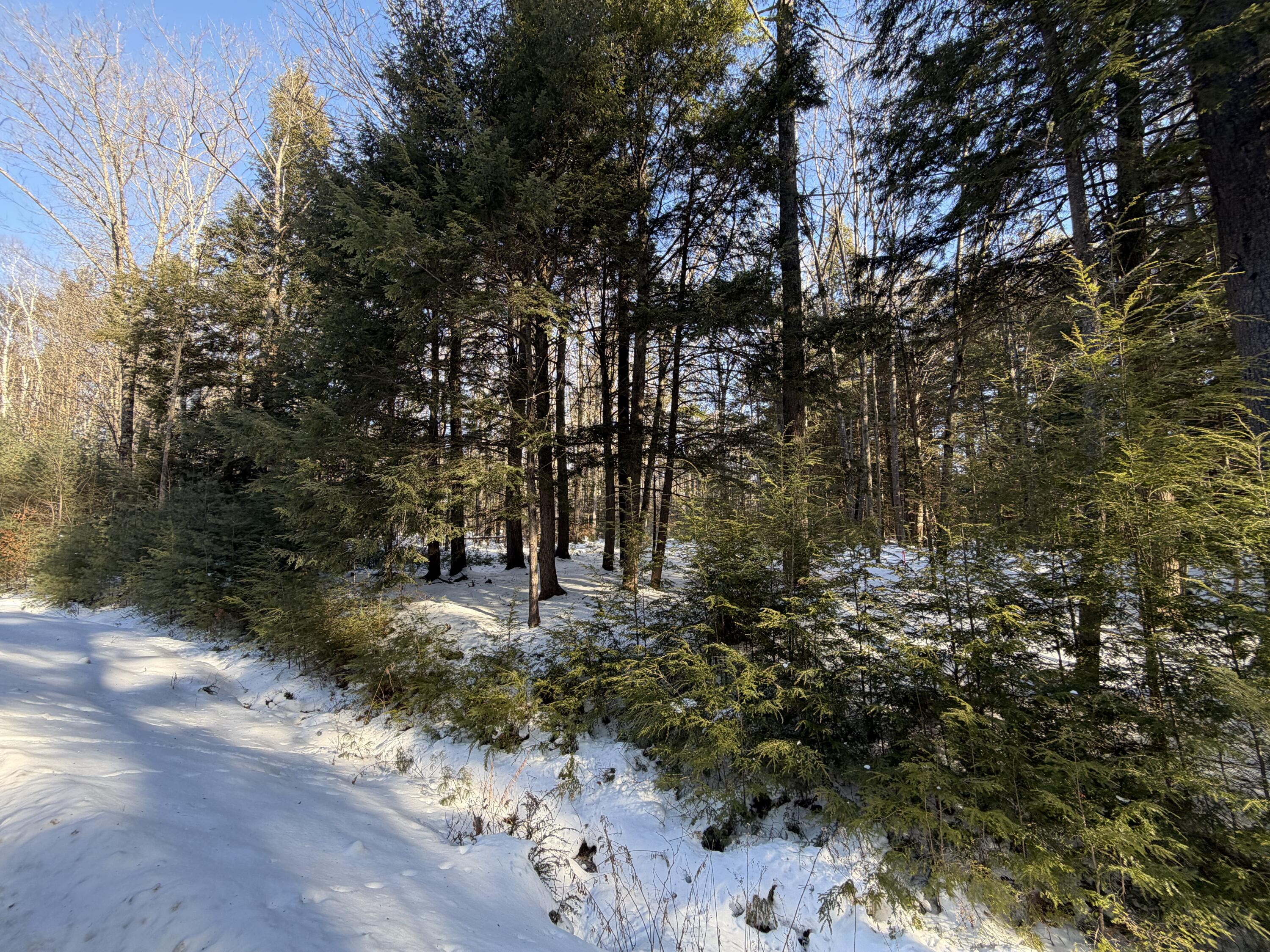 main property photo 12