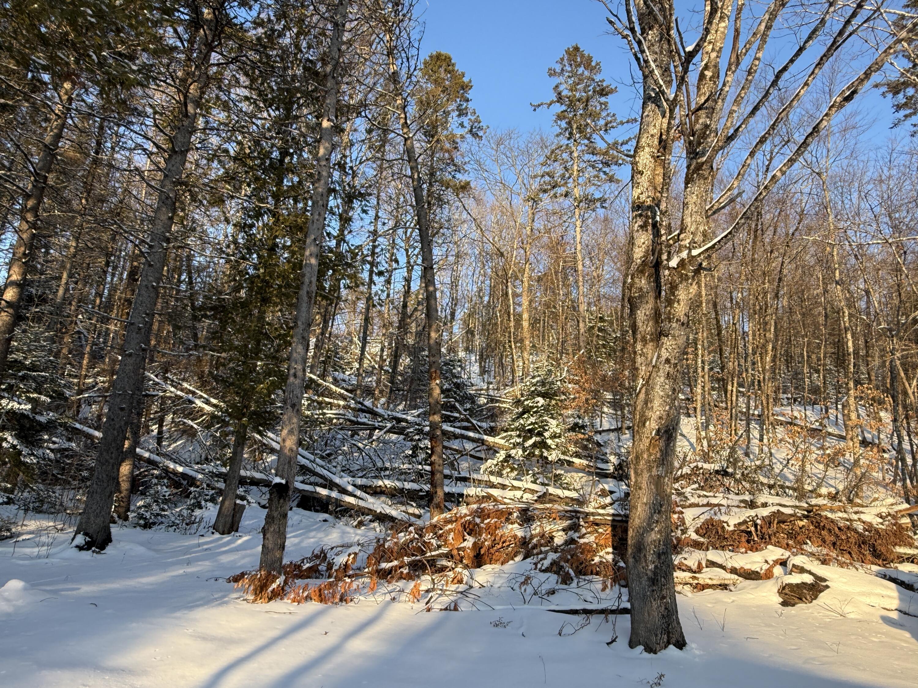 main property photo 11