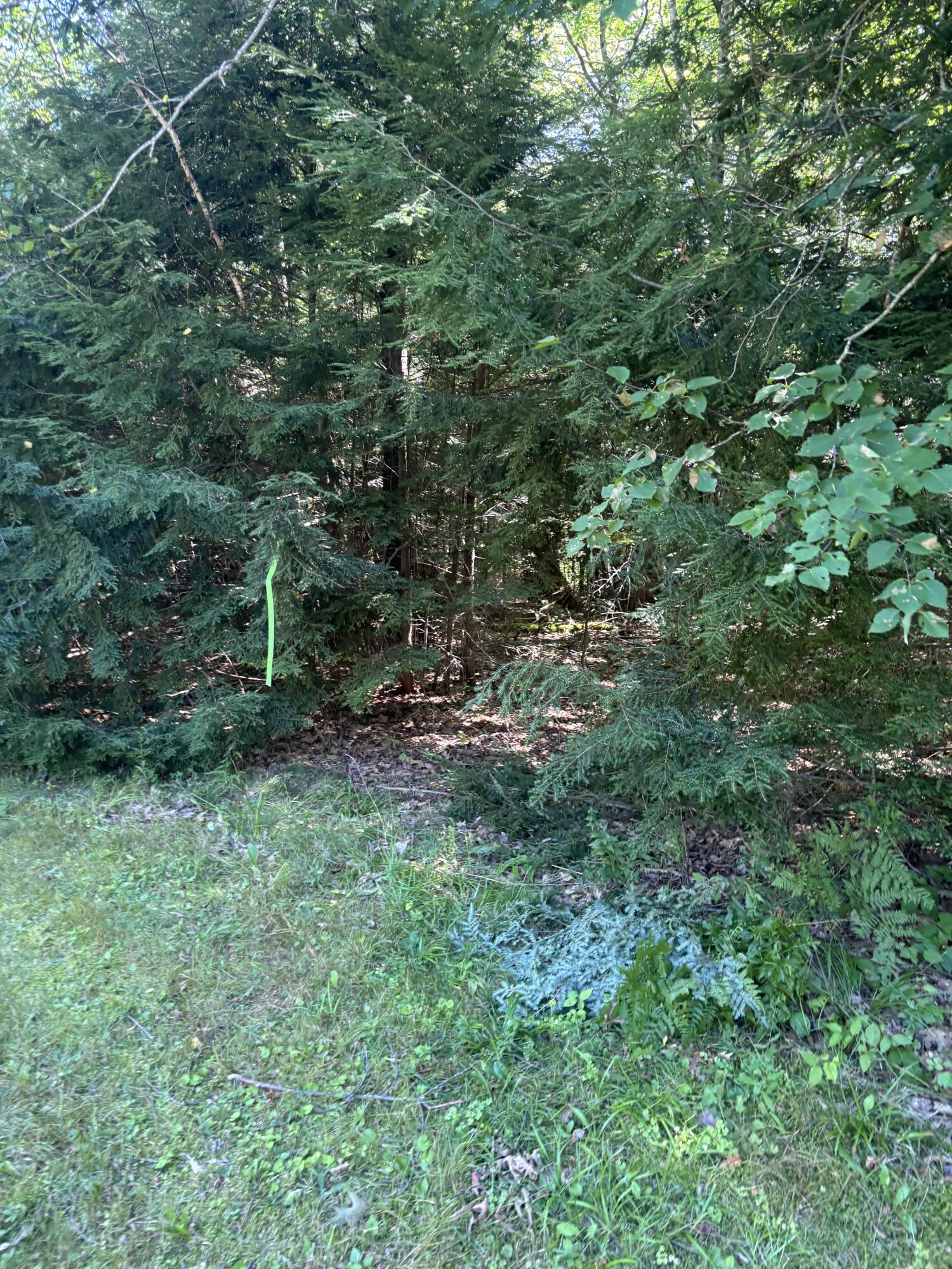 main property photo 33