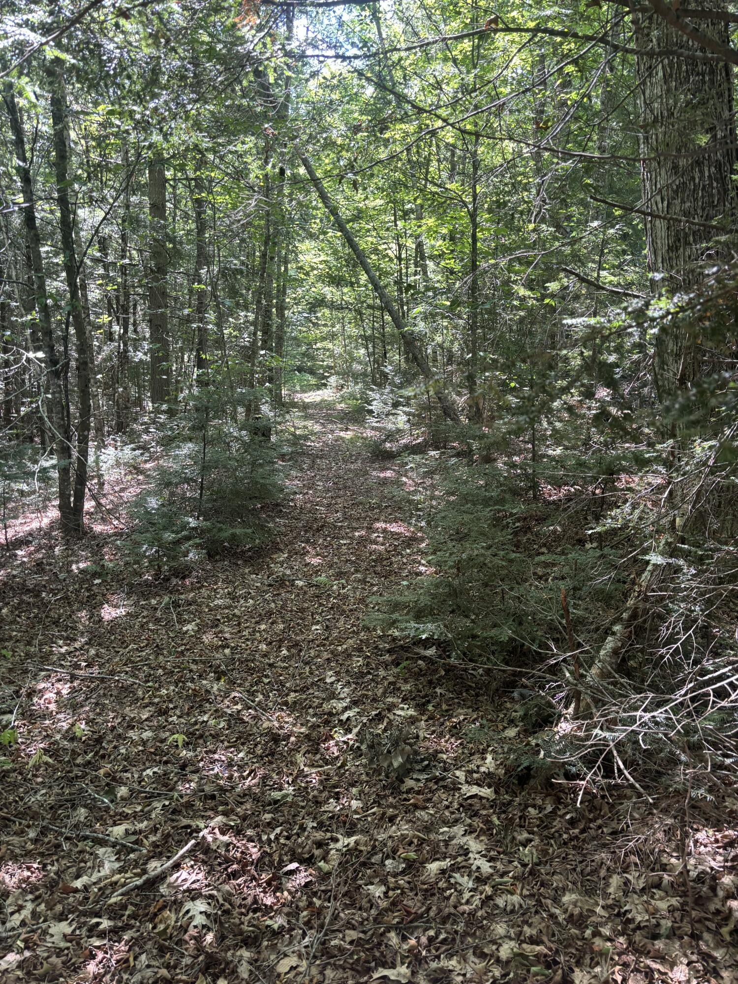main property photo 34