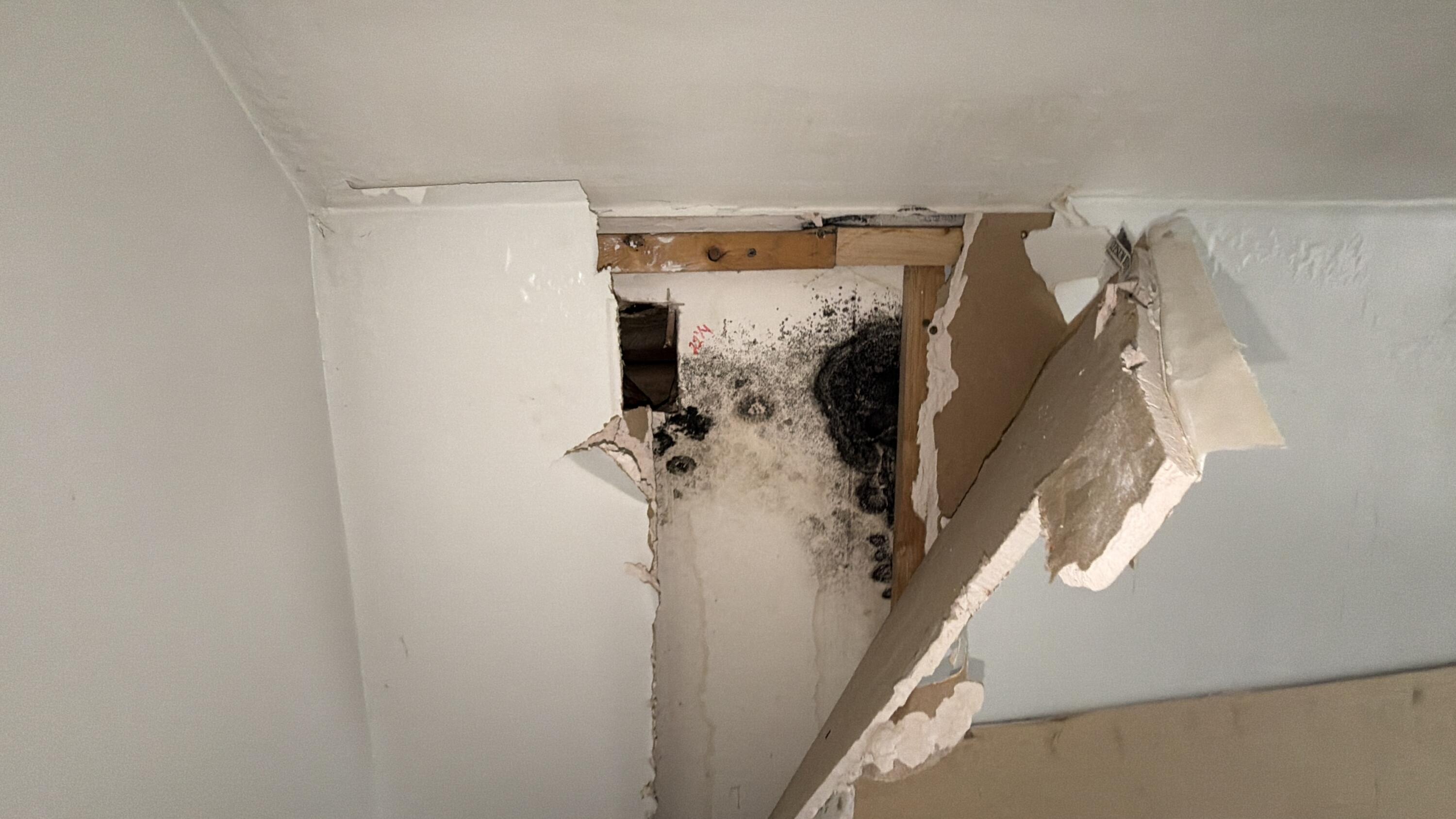 main property photo 66