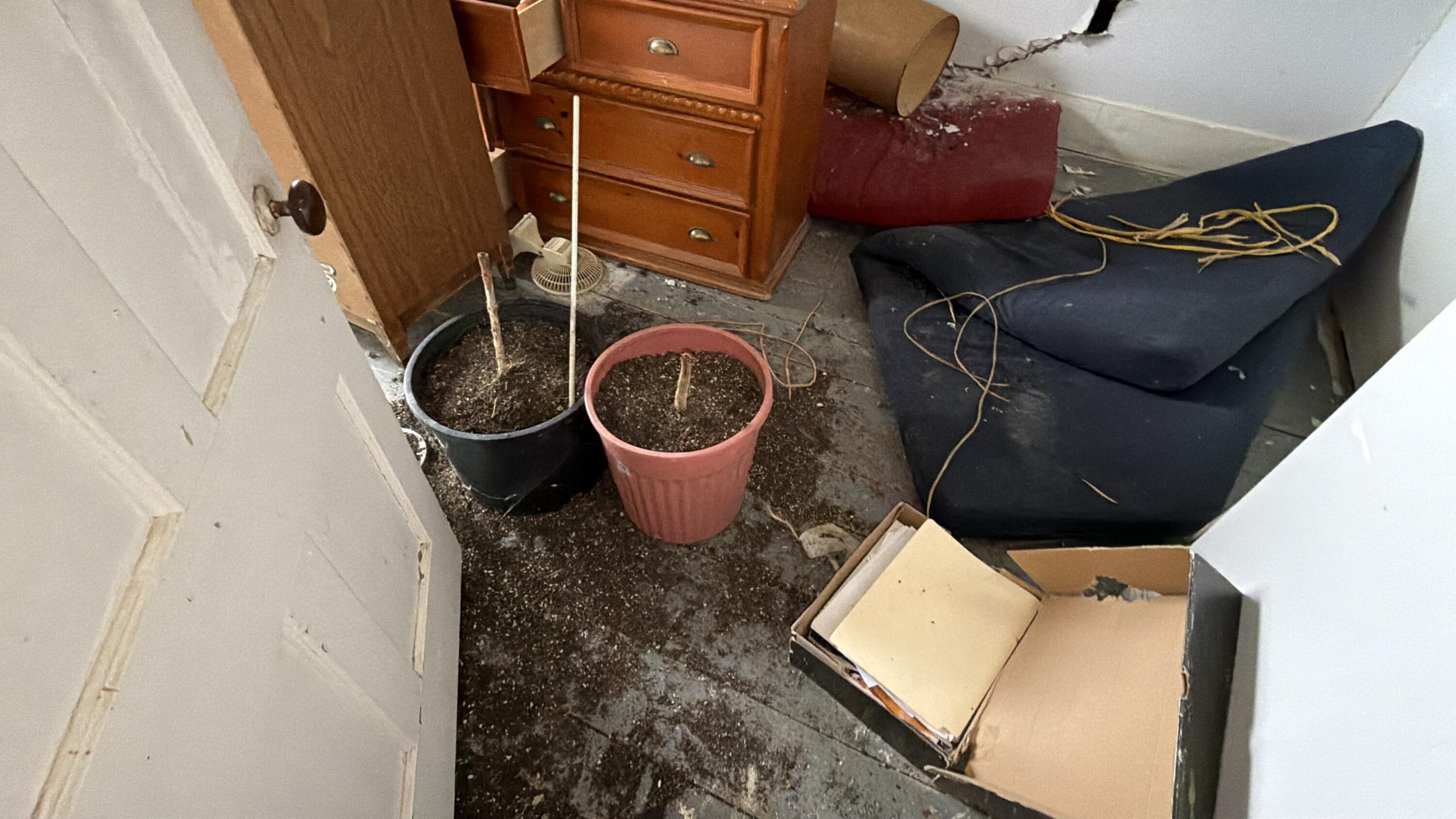 main property photo 72