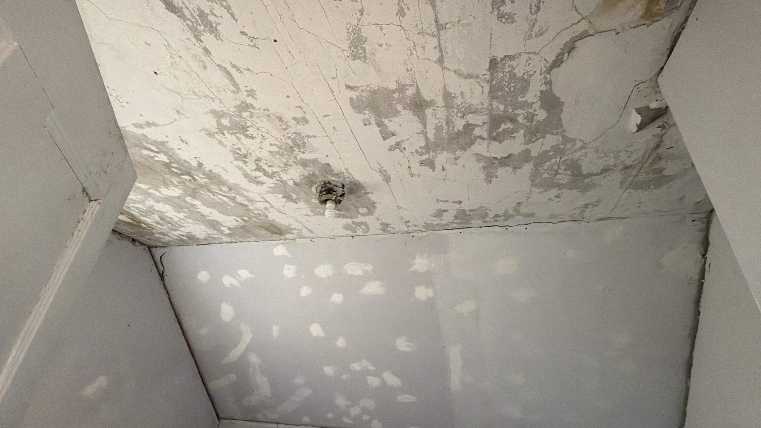 main property photo 74