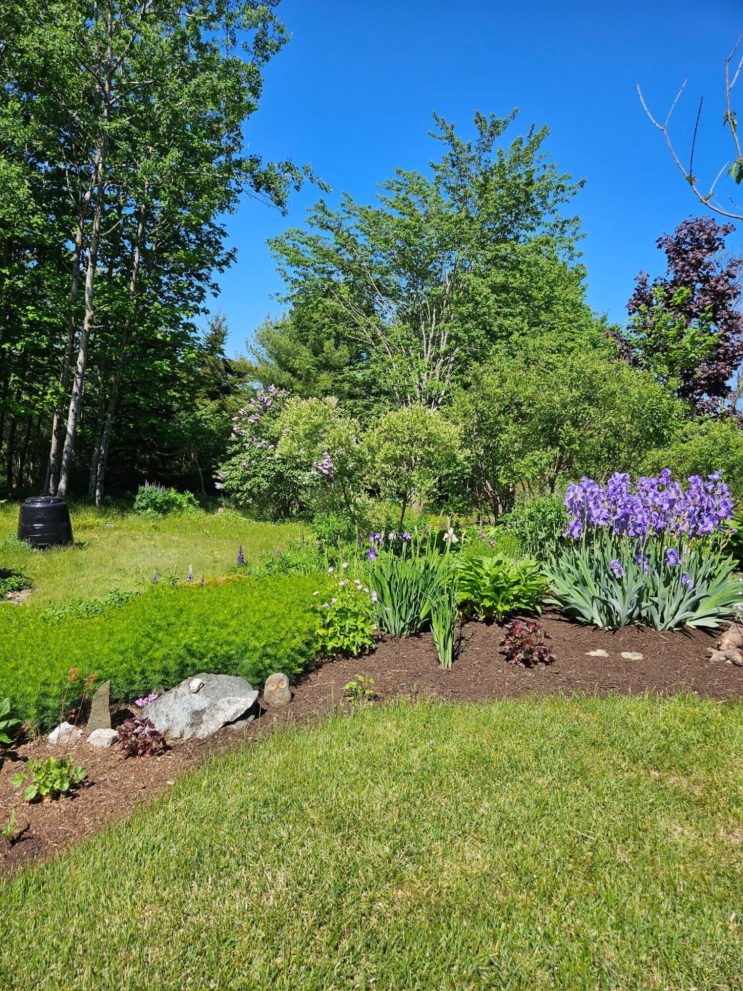main property photo 45