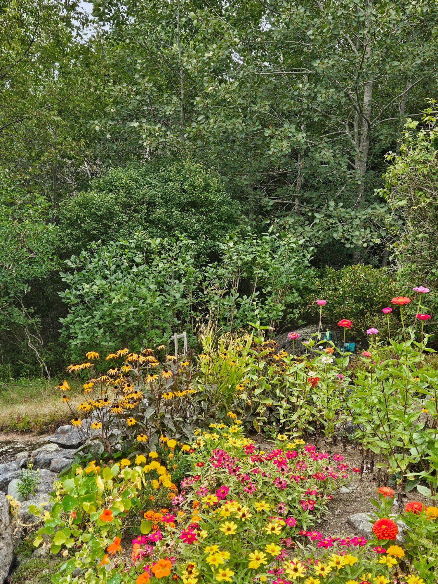 main property photo 53