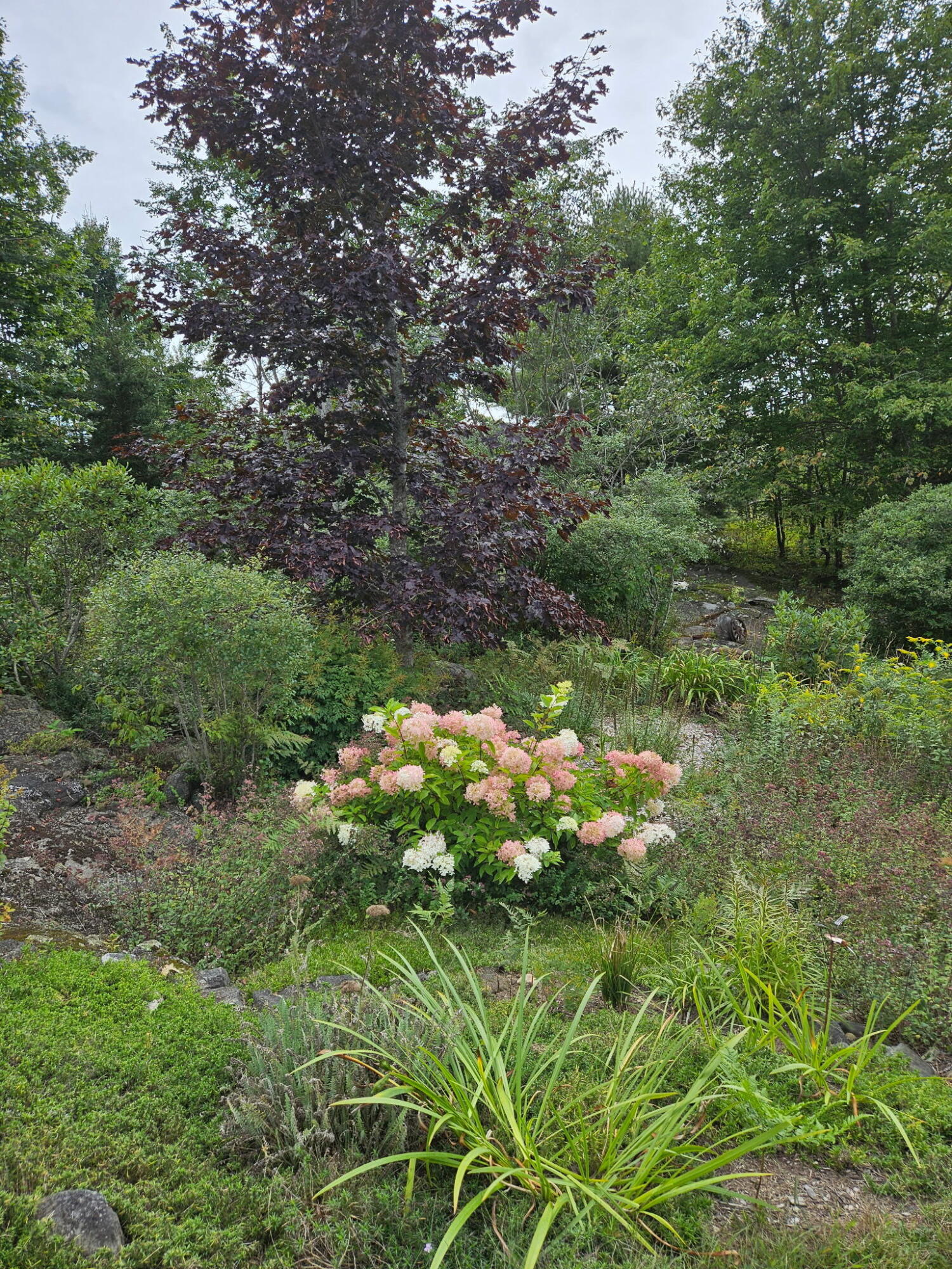 main property photo 54