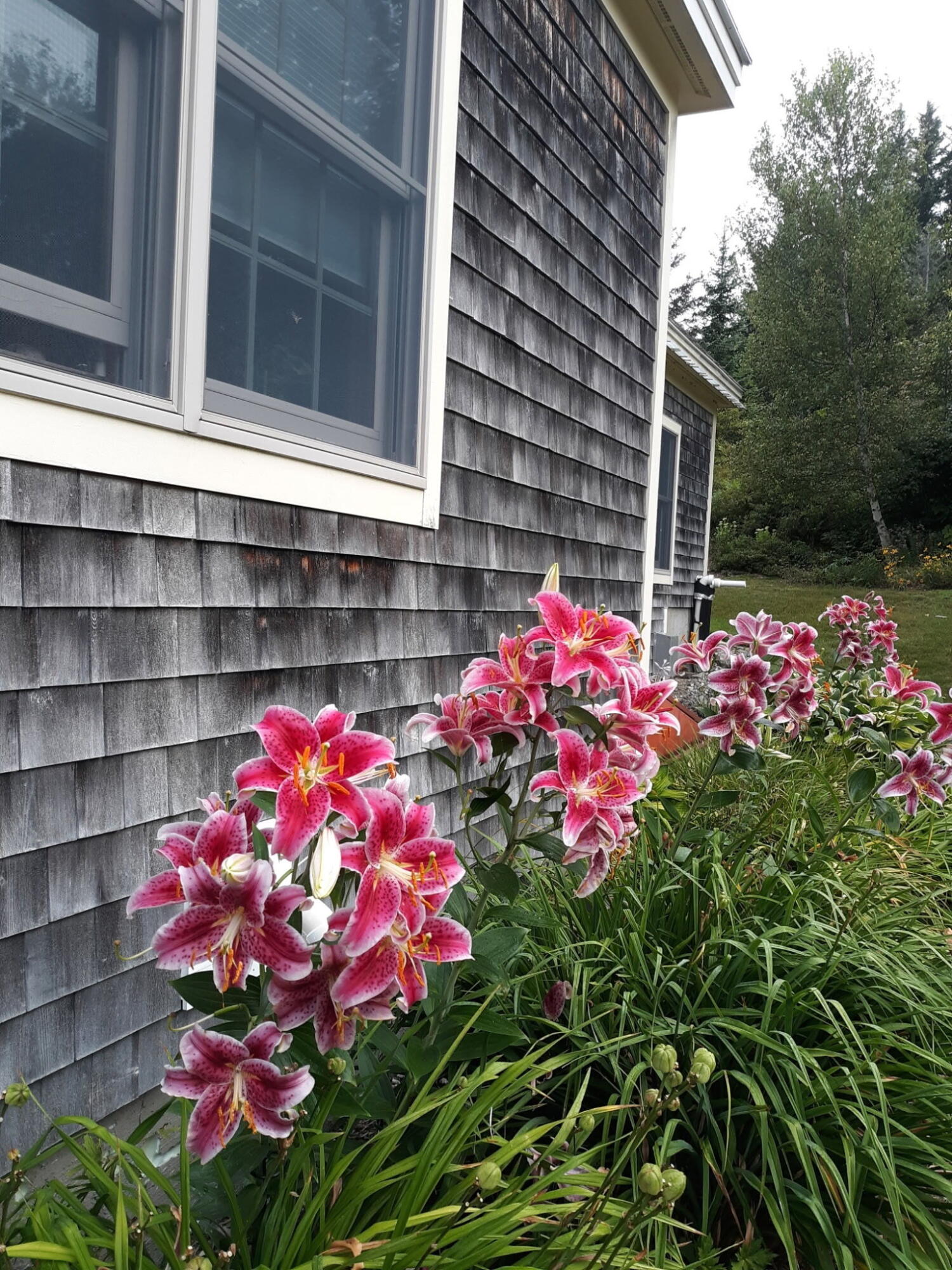 main property photo 56