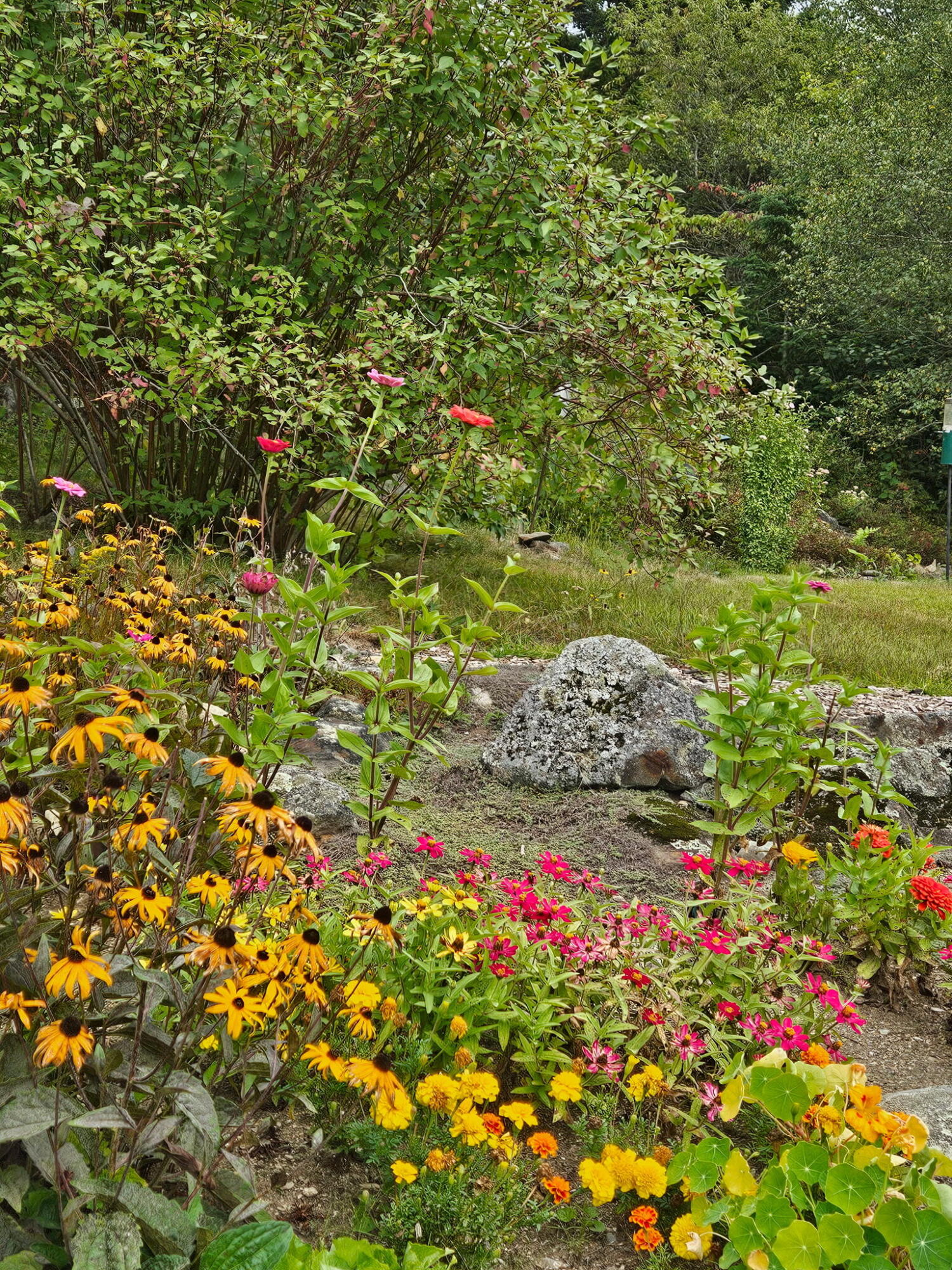main property photo 59