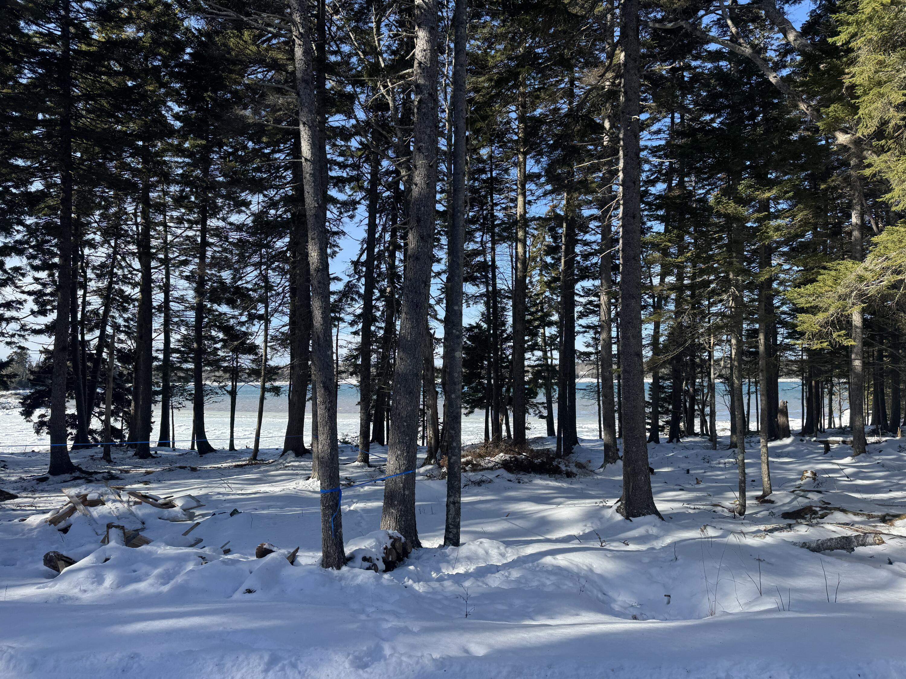 property viewer photo 27