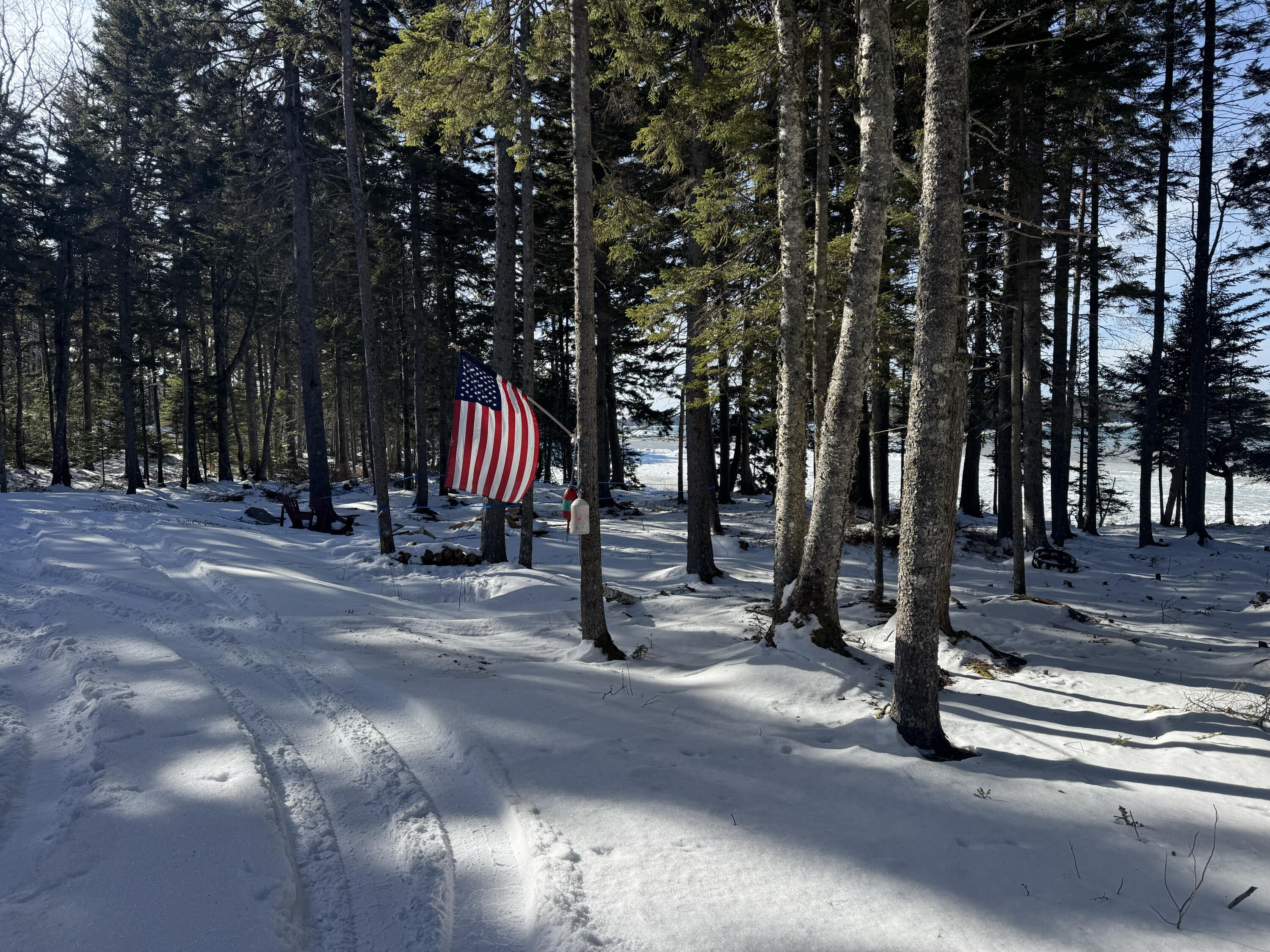 property viewer photo 28