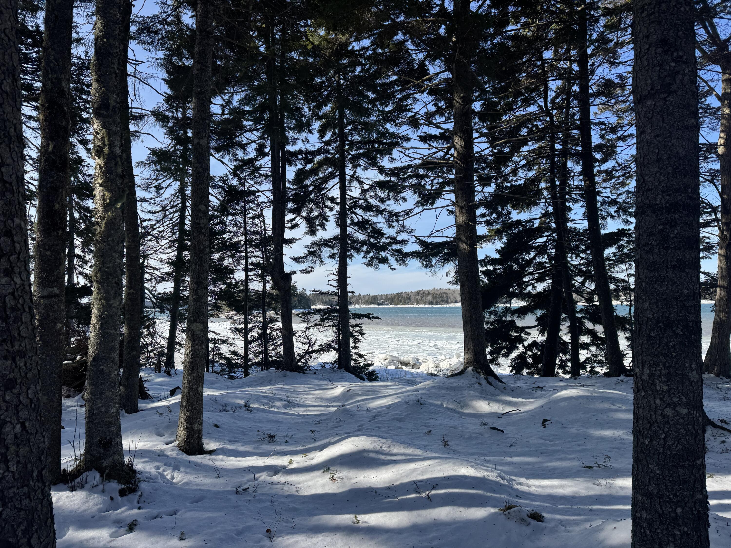 property viewer photo 31