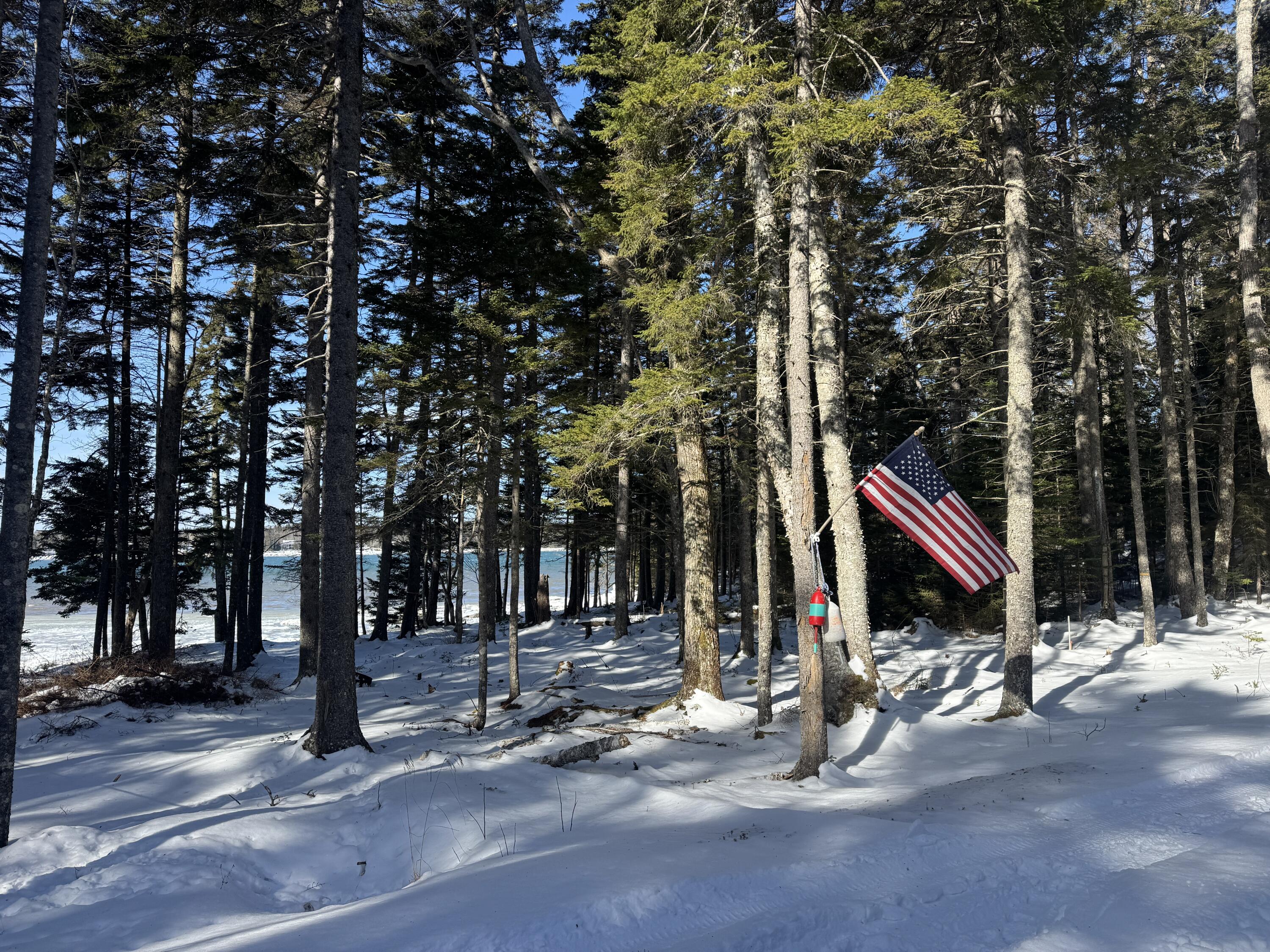 property viewer photo 33
