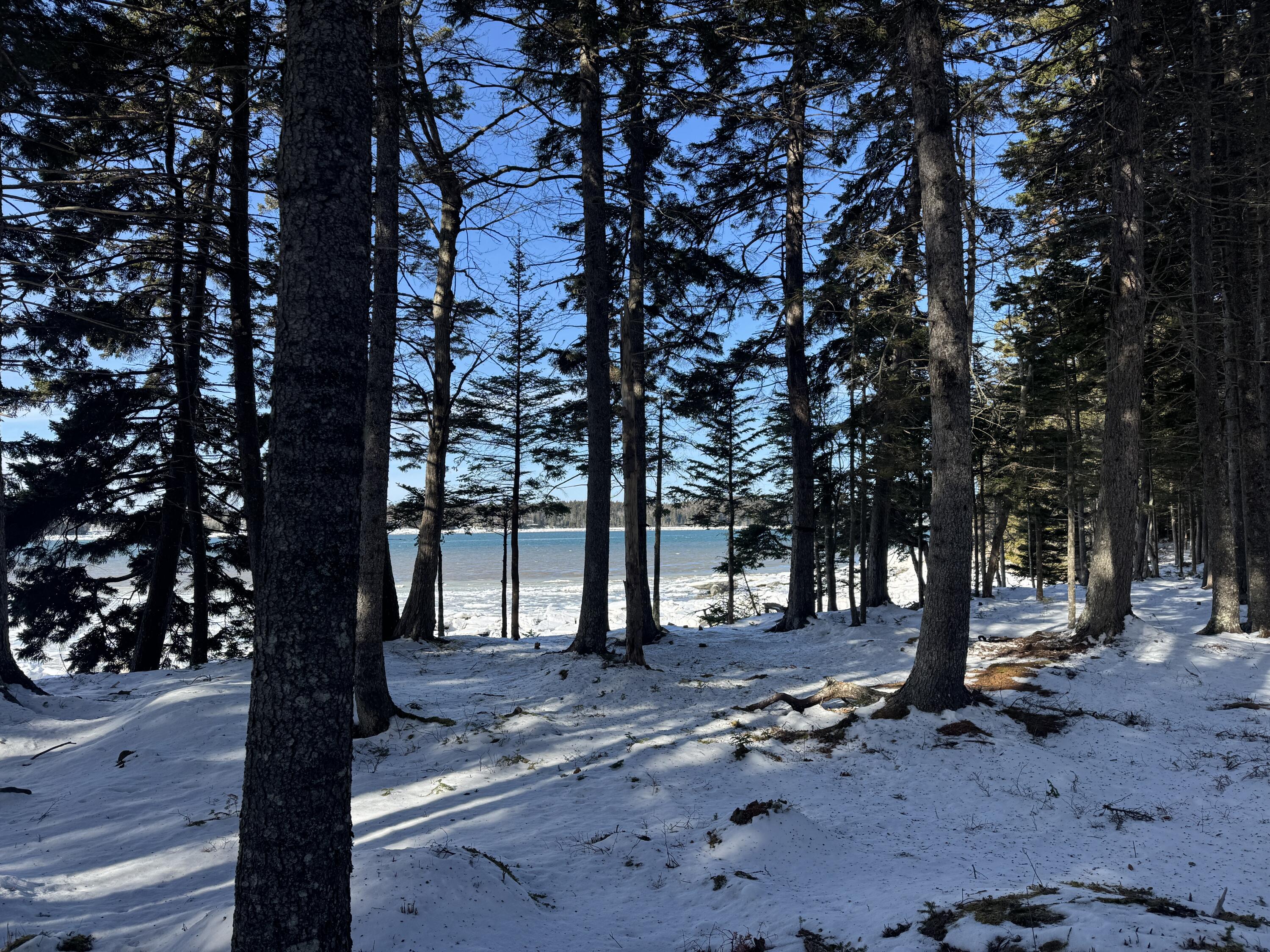 property viewer photo 34