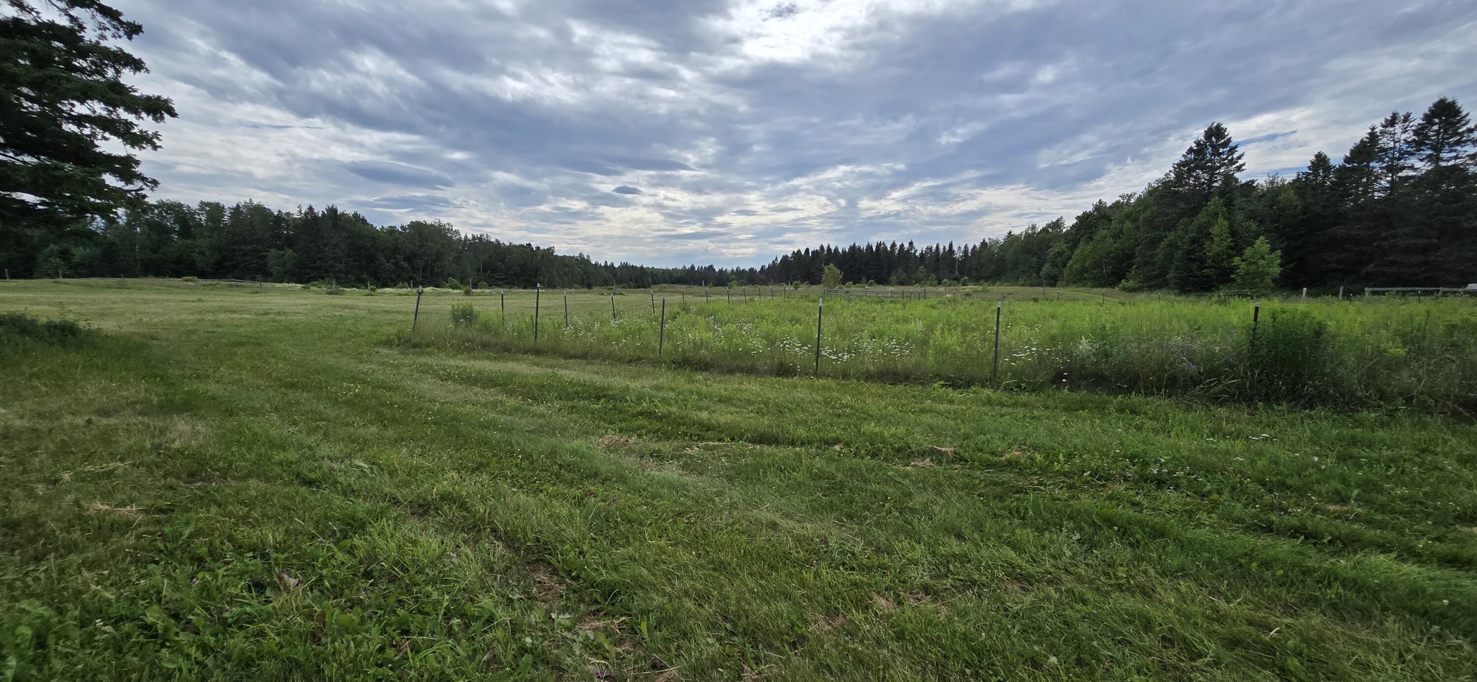 main property photo 126