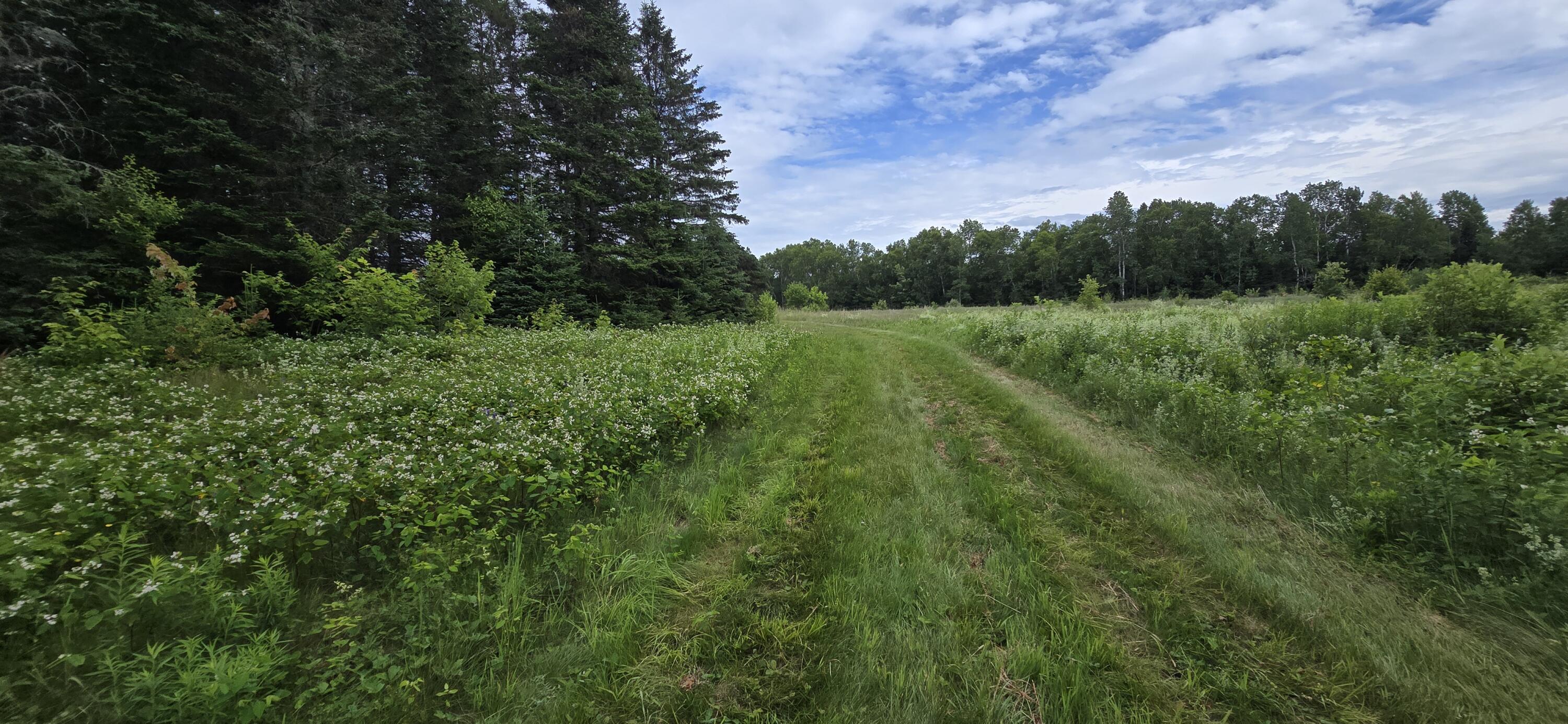 main property photo 131