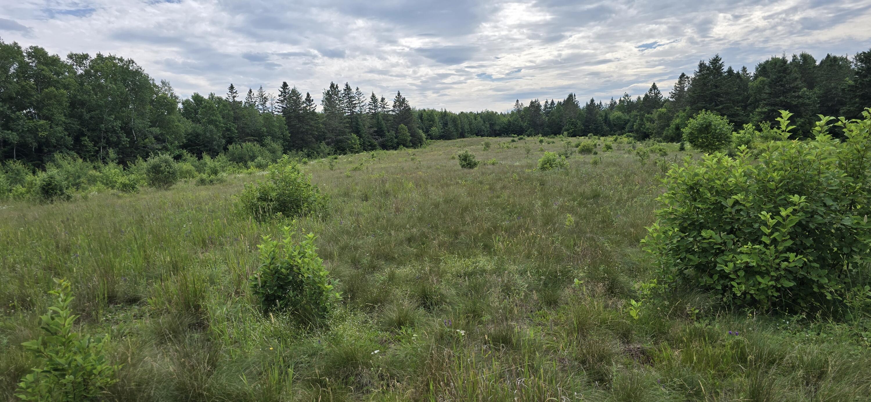 main property photo 132