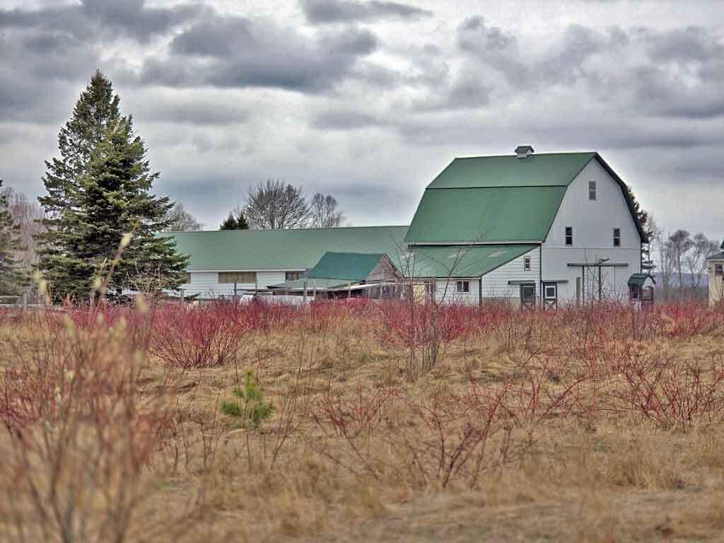 main property photo 25