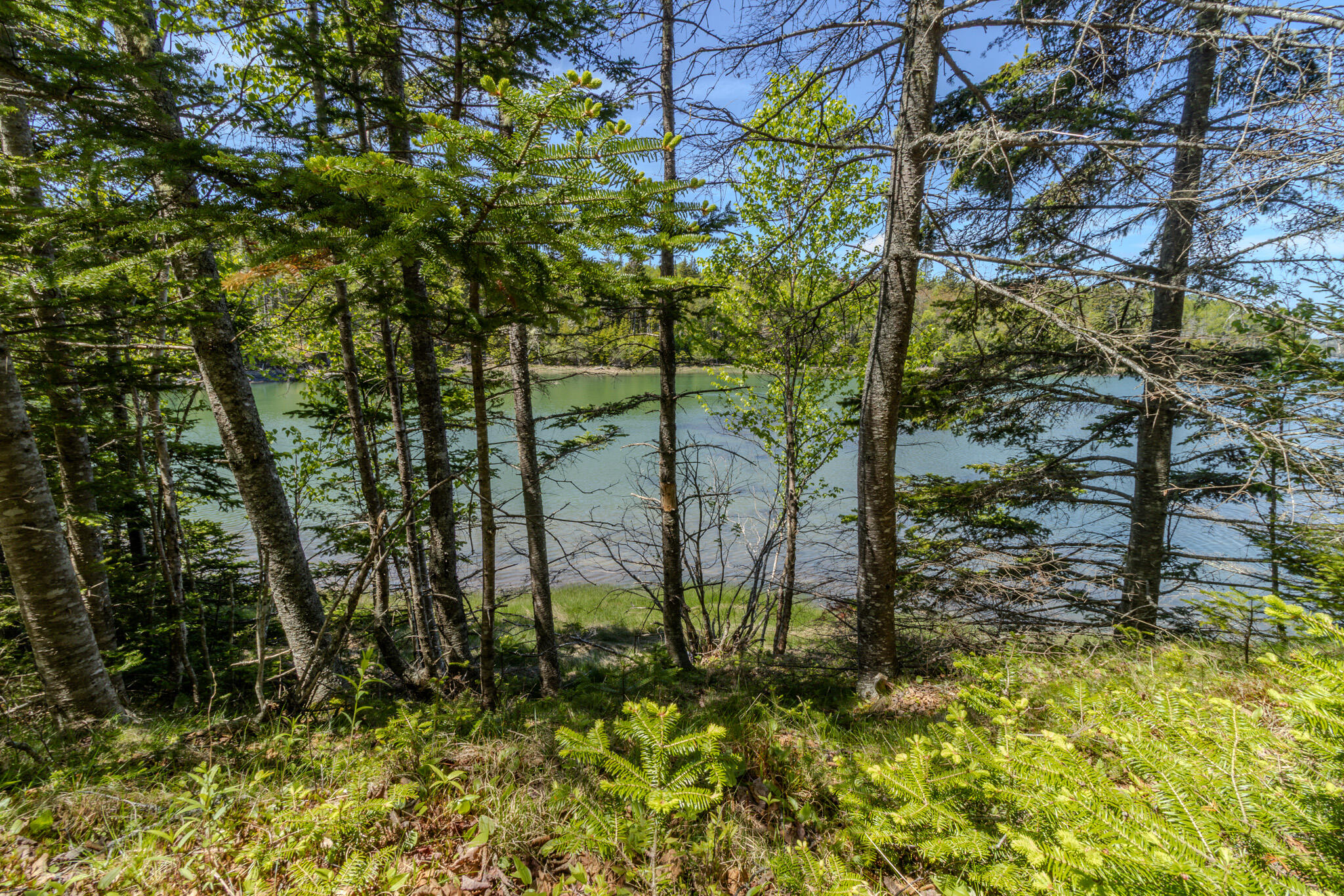 main property photo 34