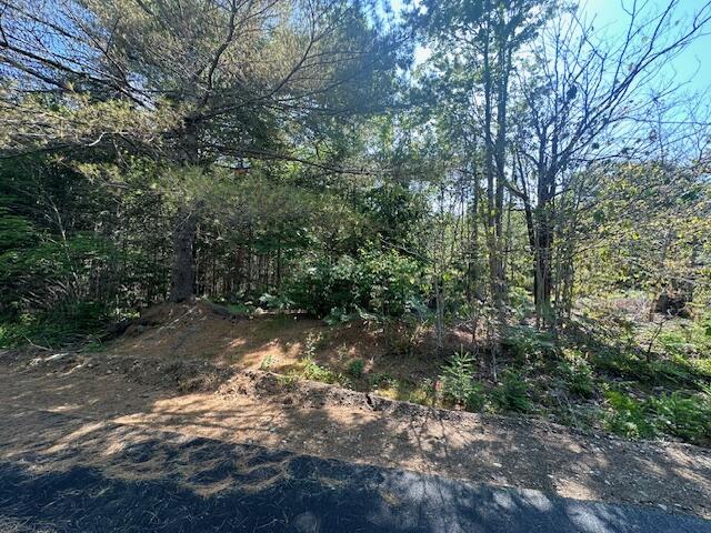 main property photo 38