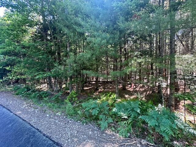 main property photo 34