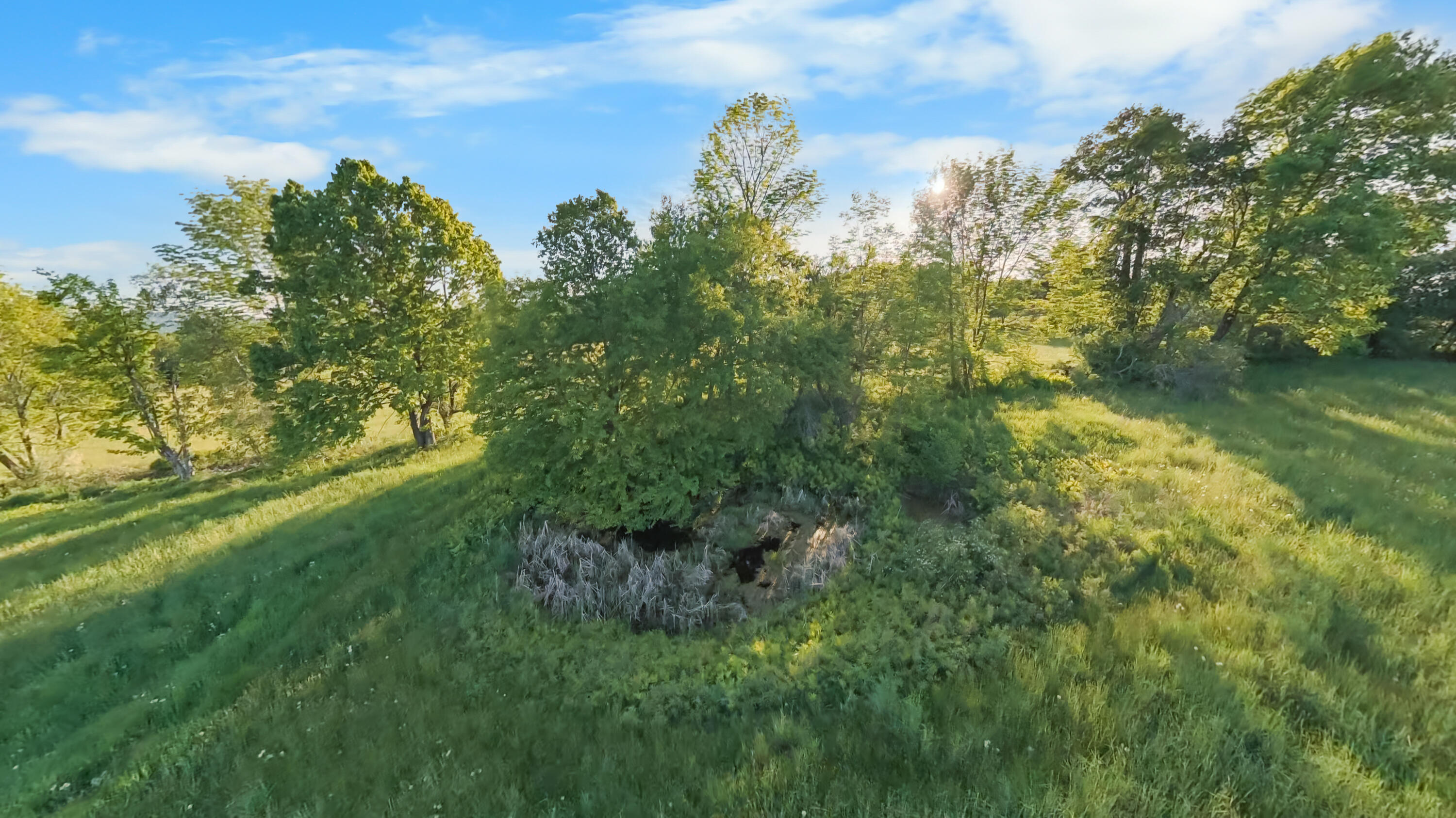 main property photo 63