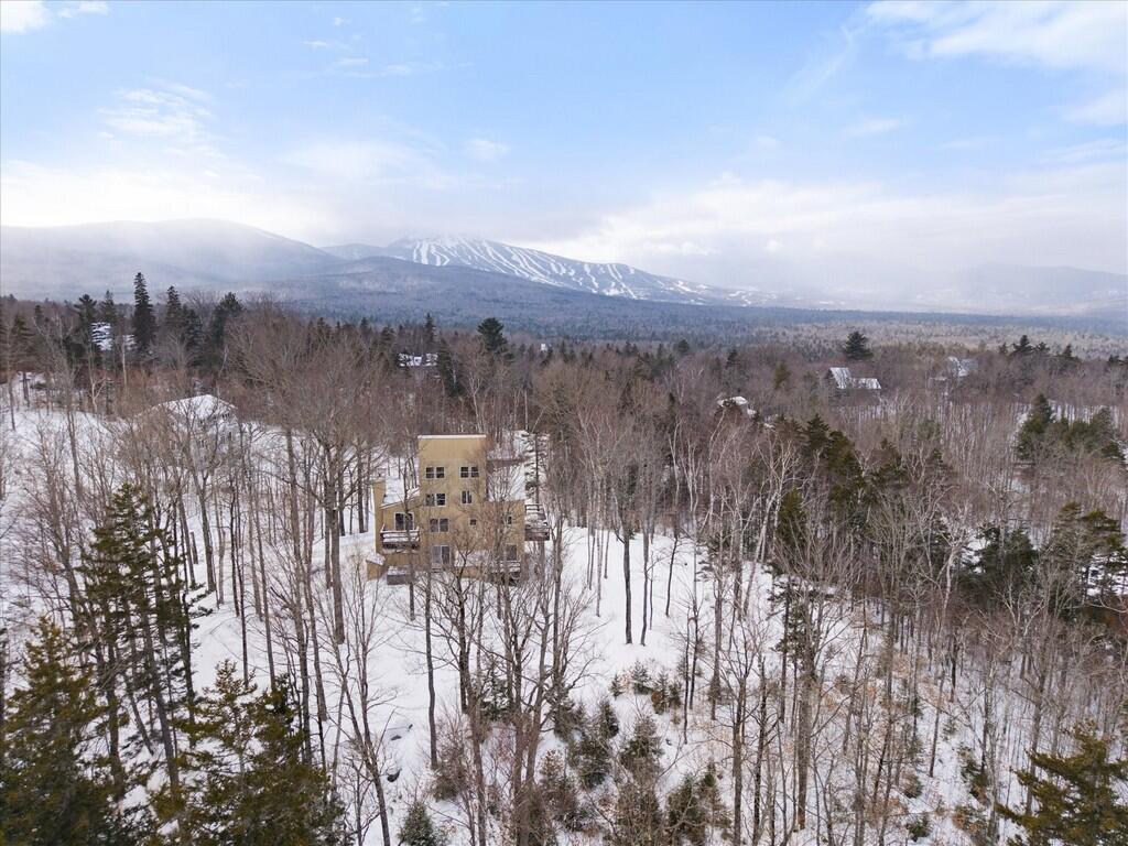 main property photo 64