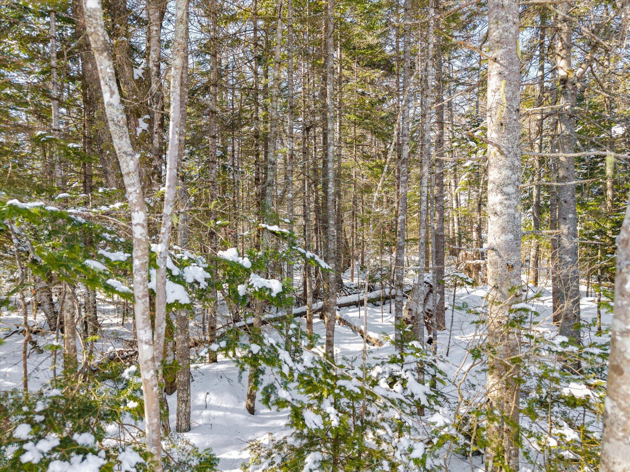 main property photo 13