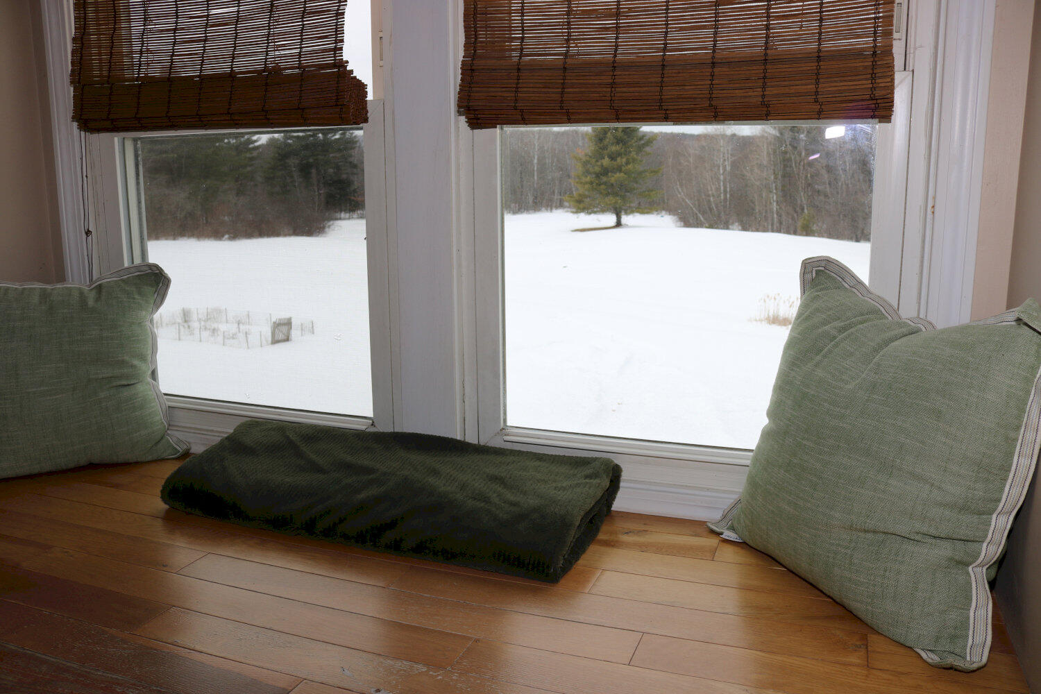 main property photo 43