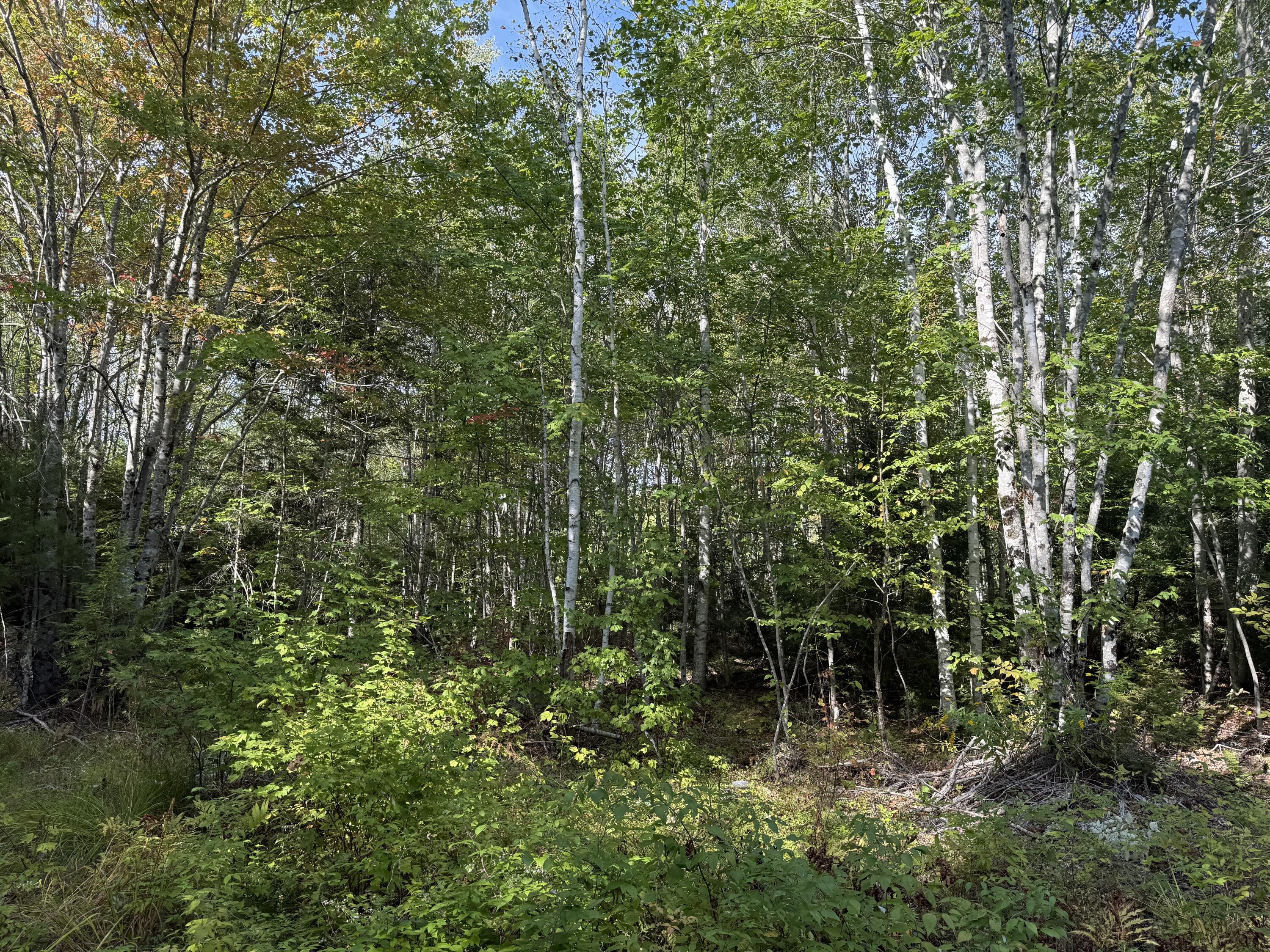 main property photo 8