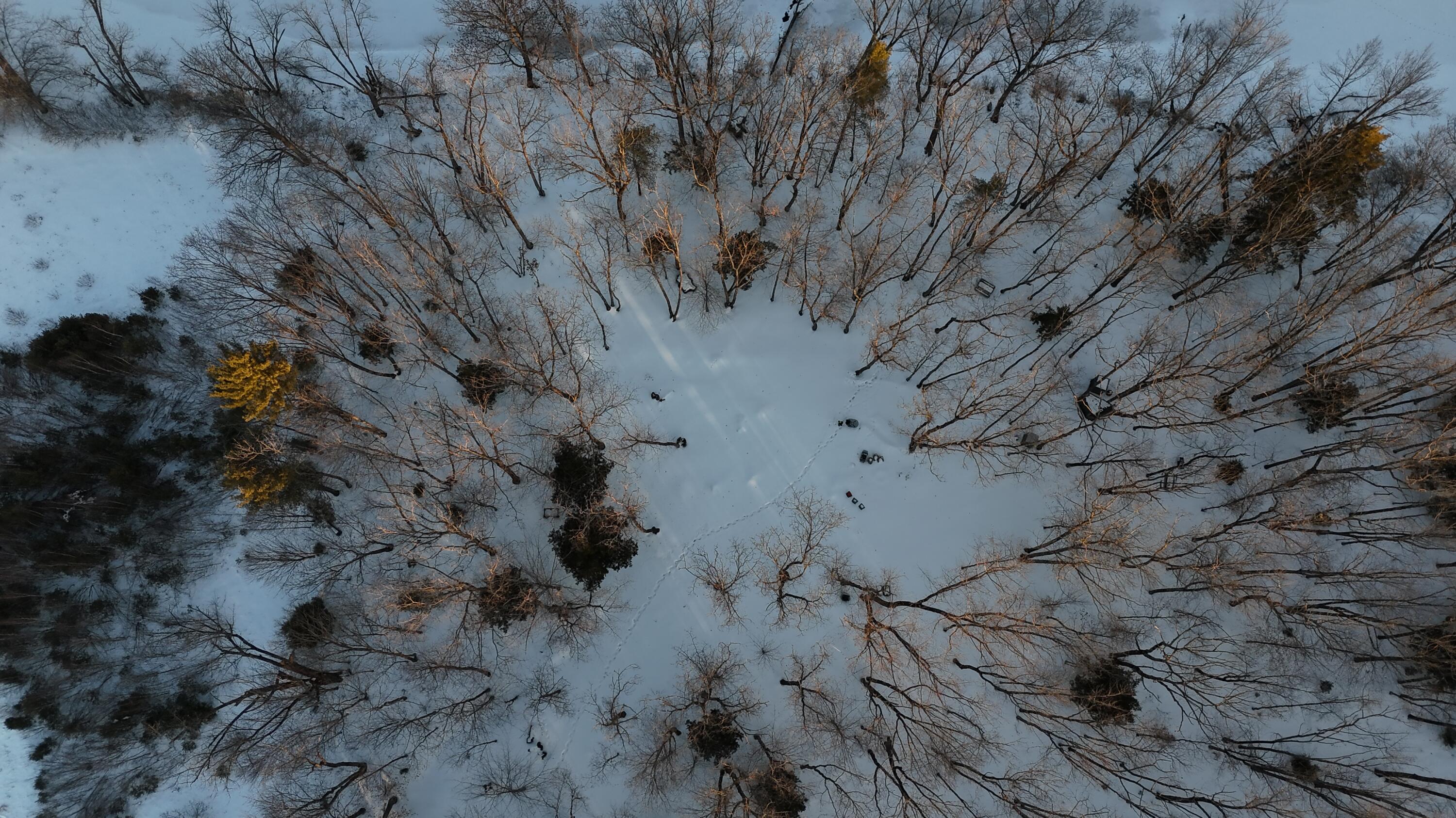 main property photo 24