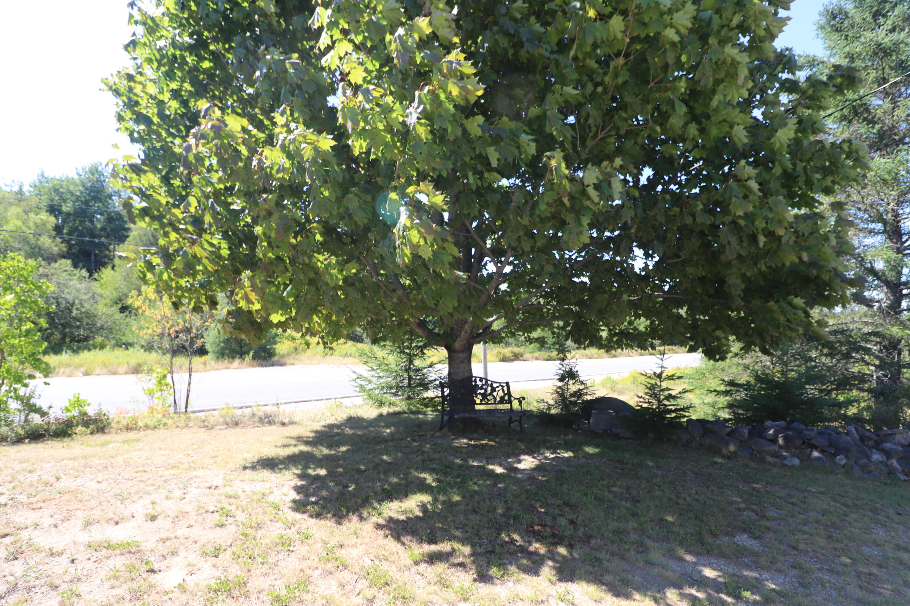 main property photo 37