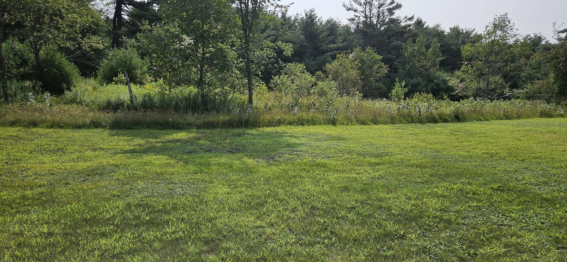 main property photo 43