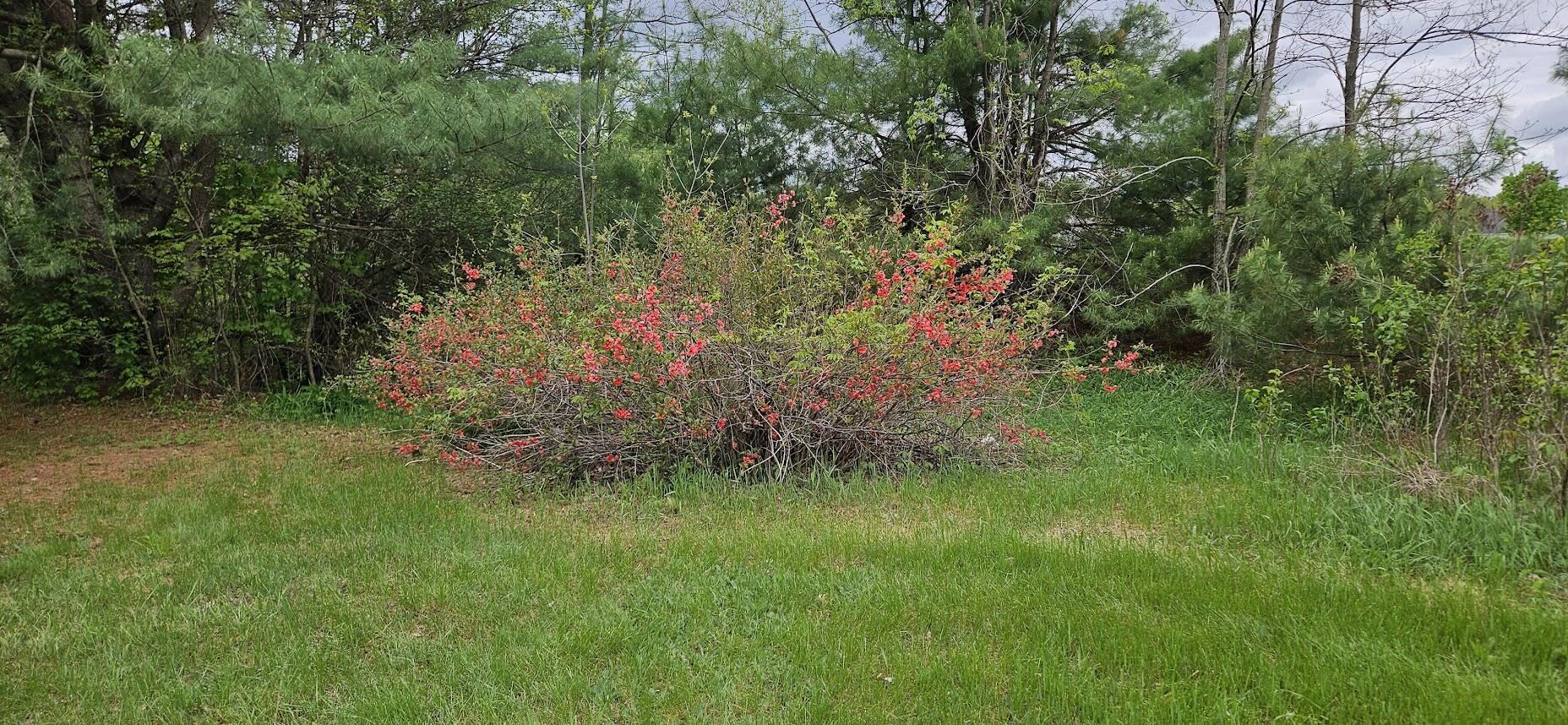 main property photo 56