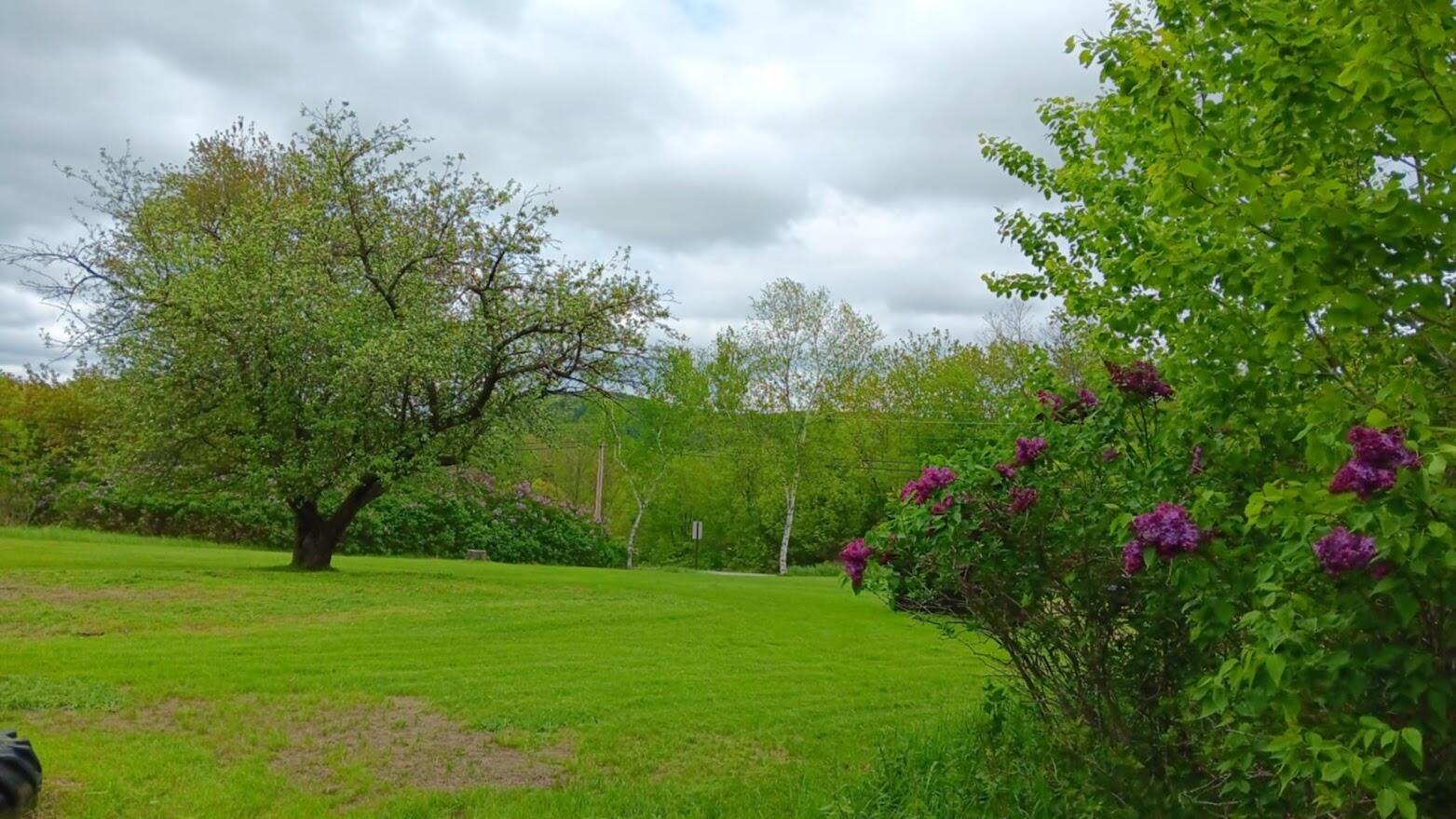 main property photo 66