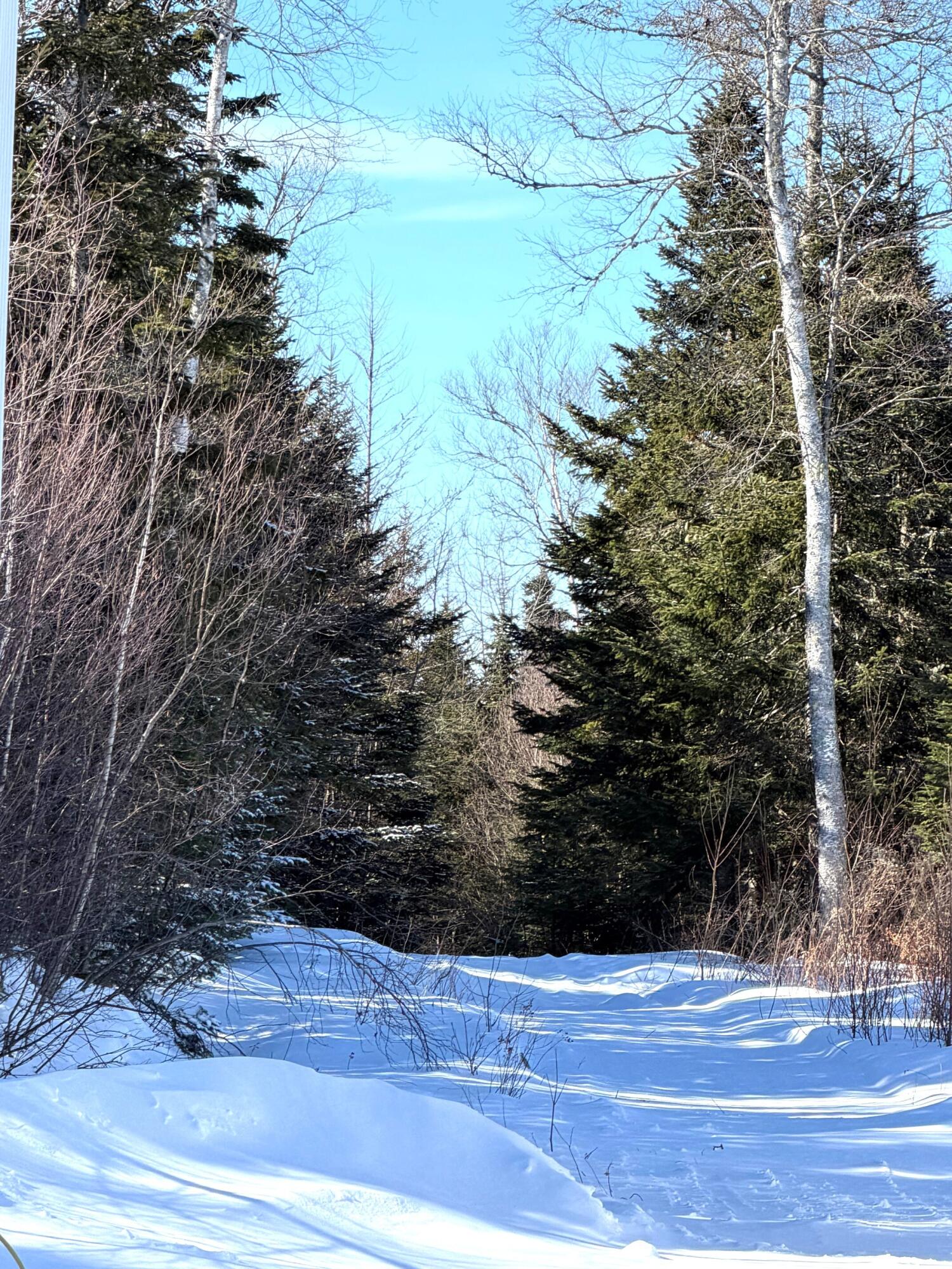 main property photo 53