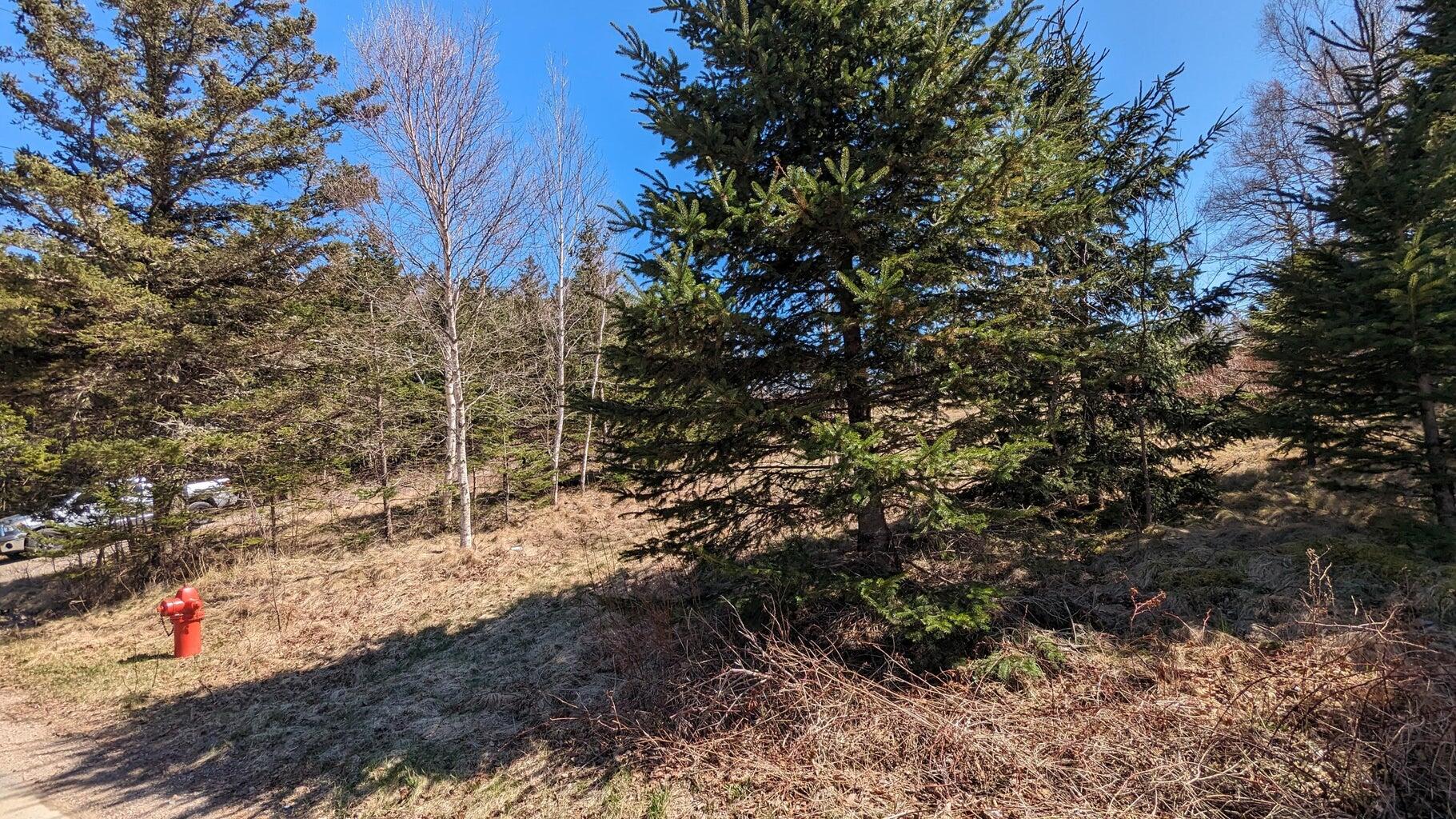 main property photo 21