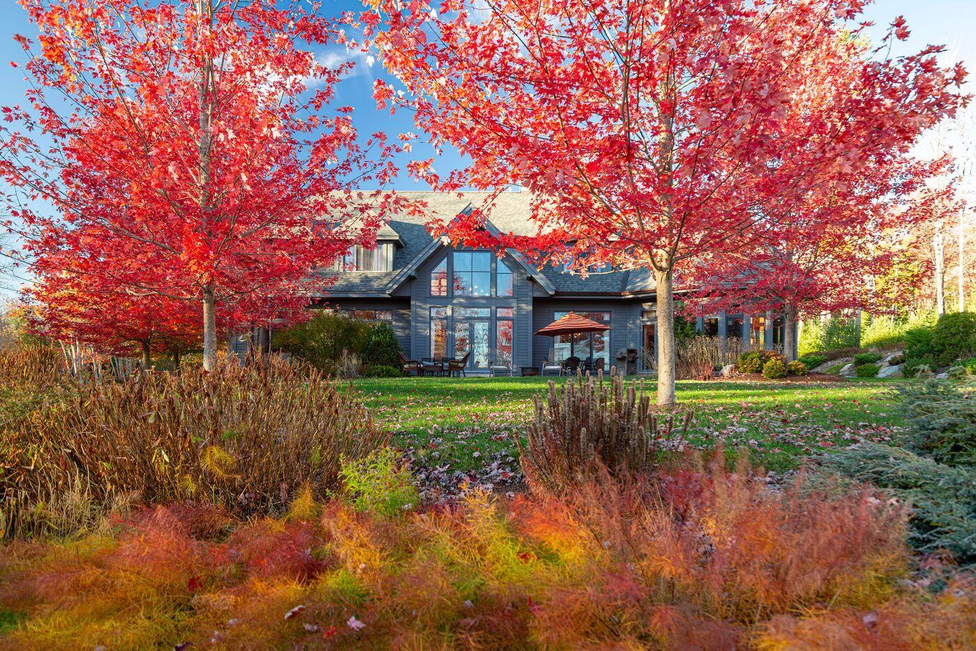 main property photo 50