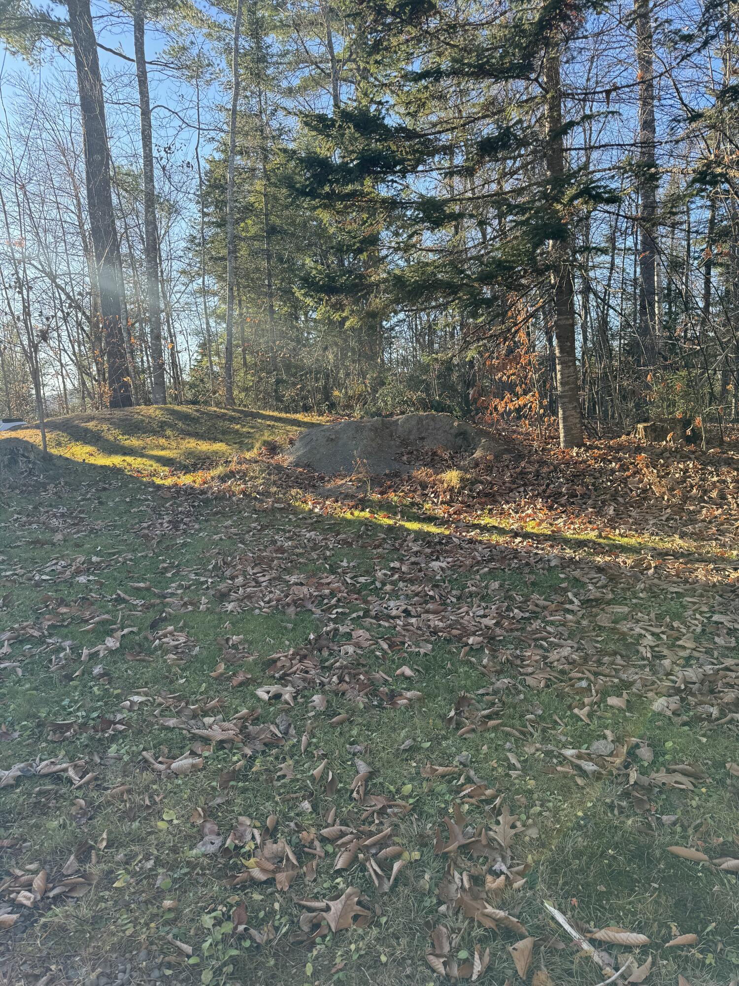 main property photo 57