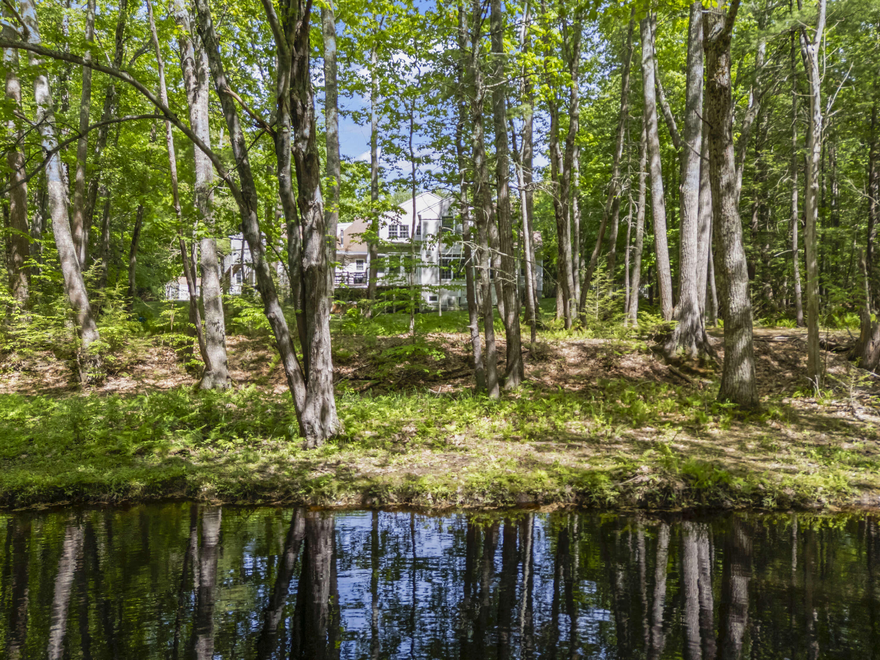main property photo 65