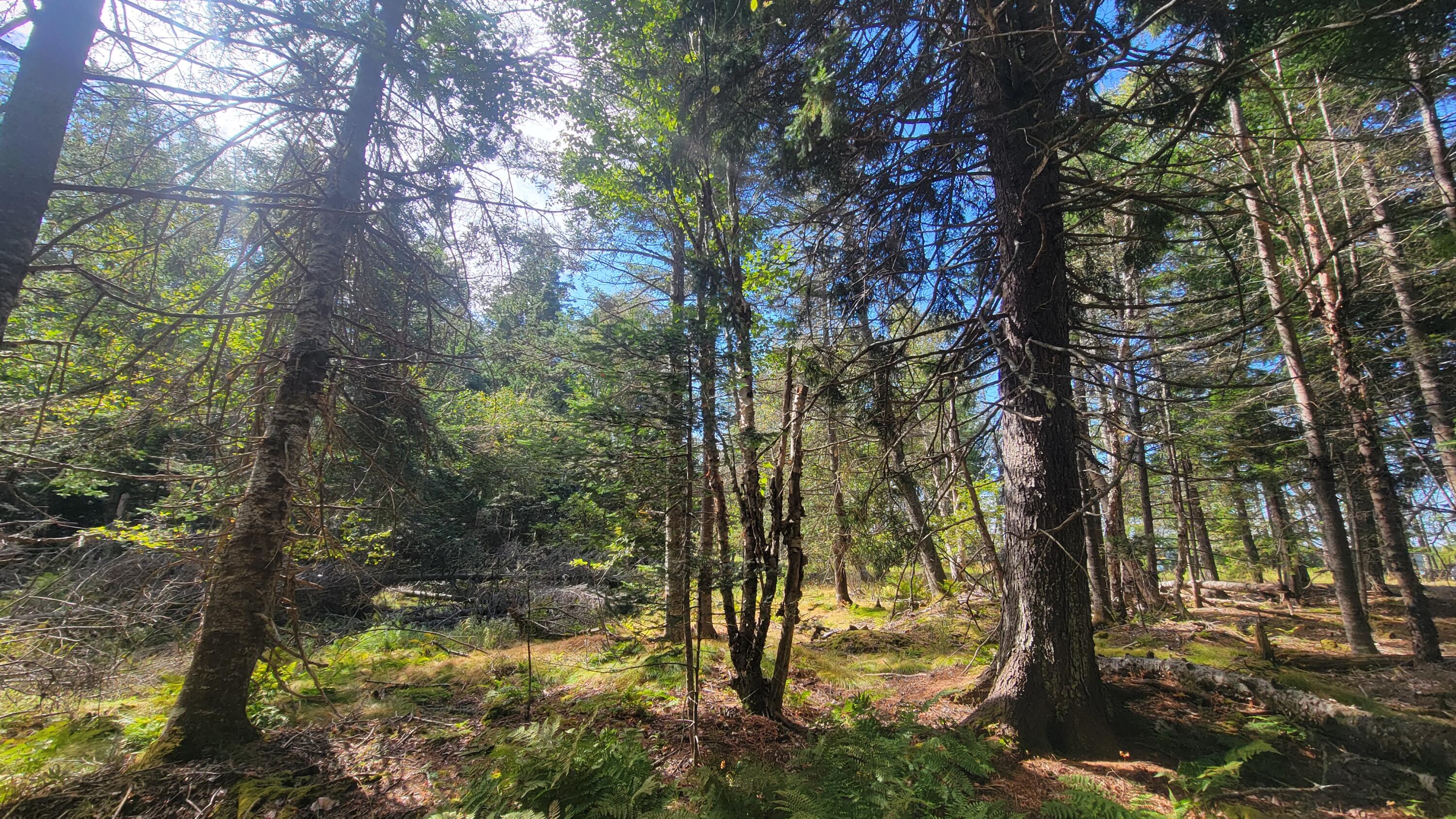 main property photo 11