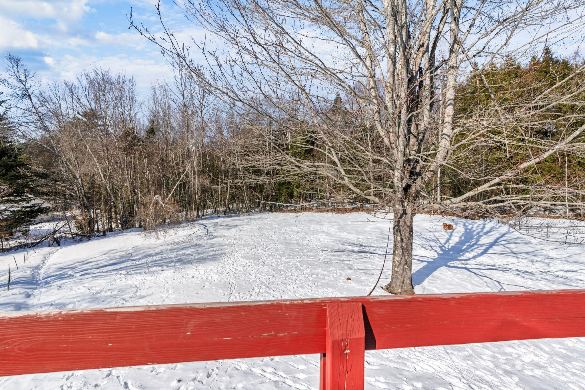property viewer photo 42